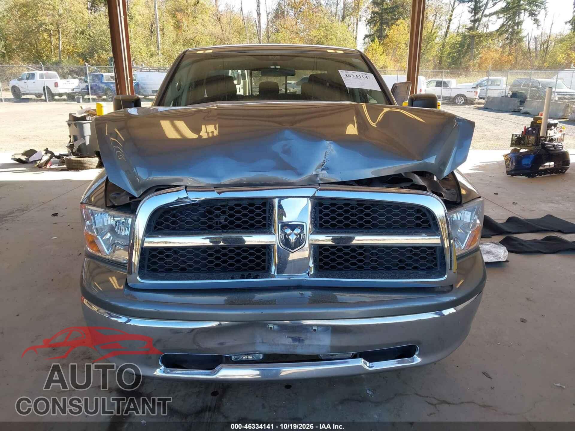DODGE RAM 1500 2009 - 1D3HB13P69S756565