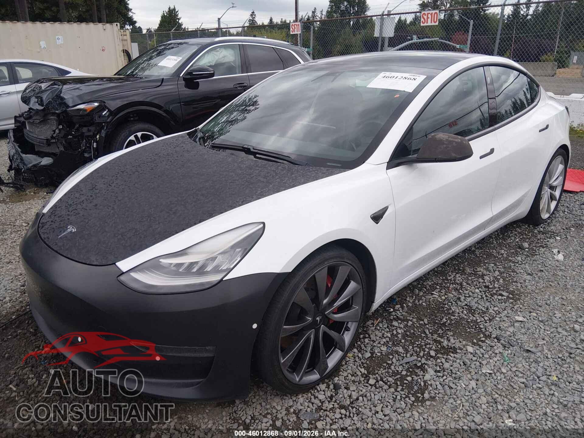 TESLA MODEL 3 2019 - 5YJ3E1EB2KF487186