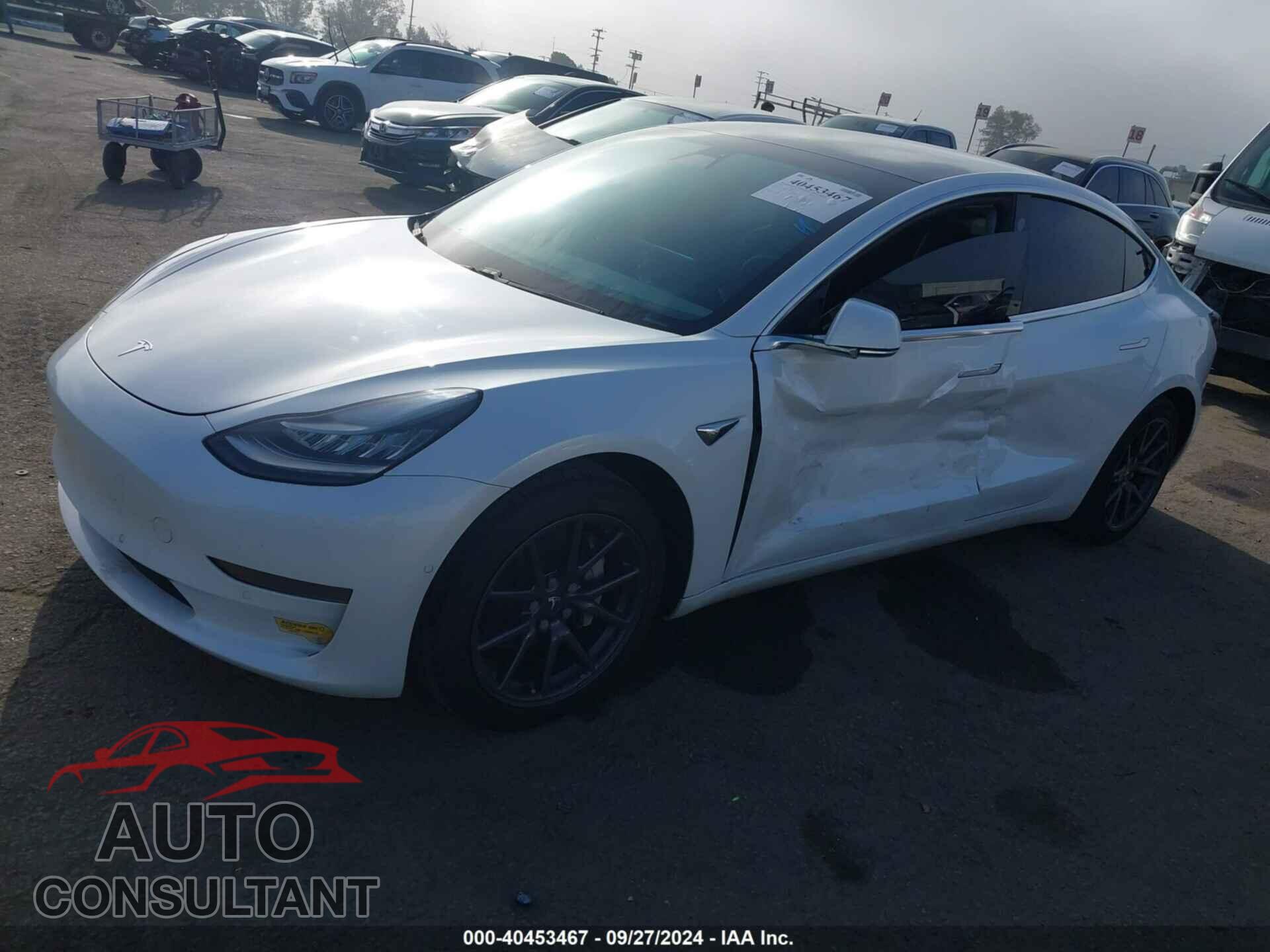 TESLA MODEL 3 2019 - 5YJ3E1EA5KF466811