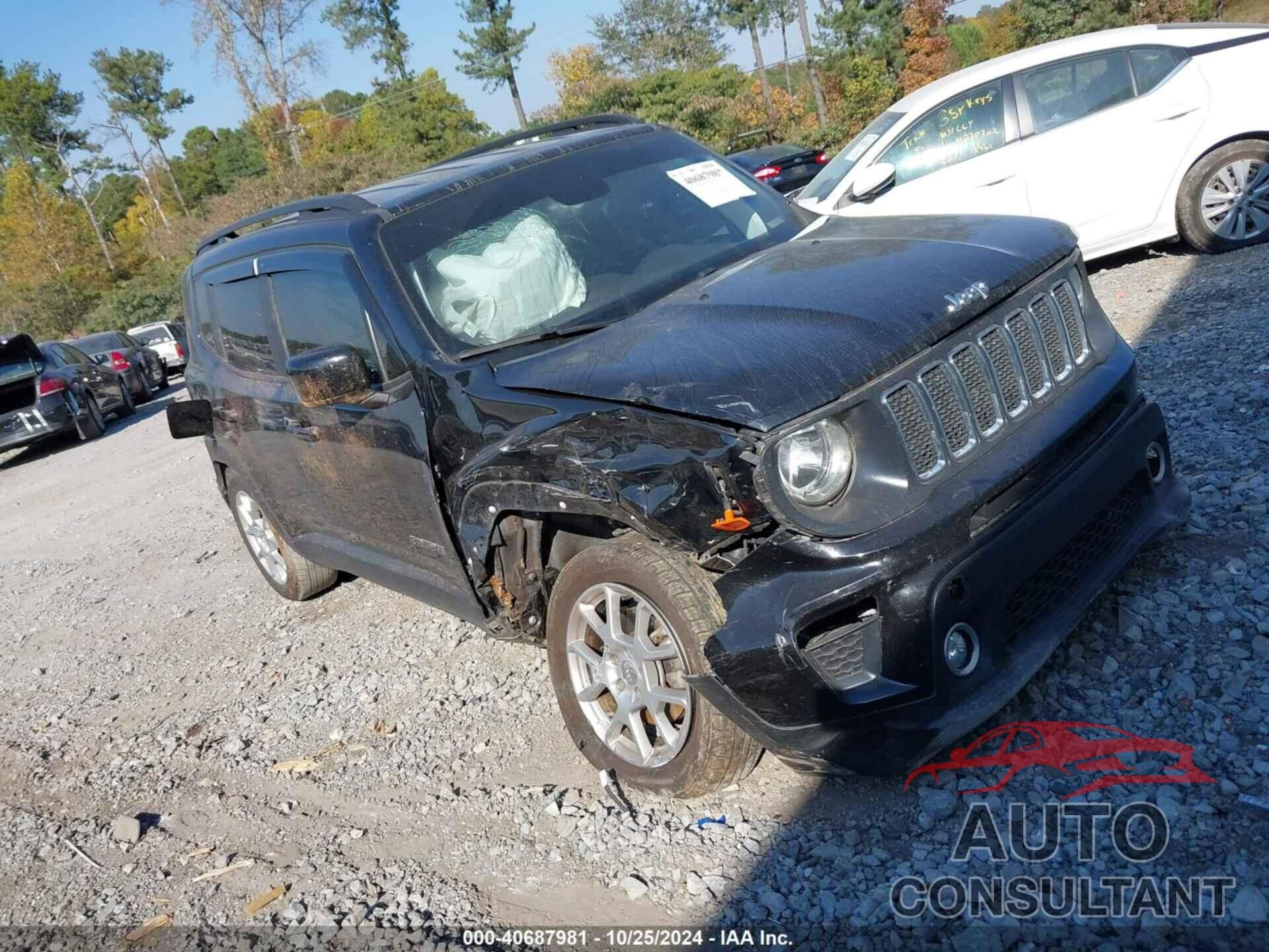 JEEP RENEGADE 2019 - ZACNJABBXKPK08226