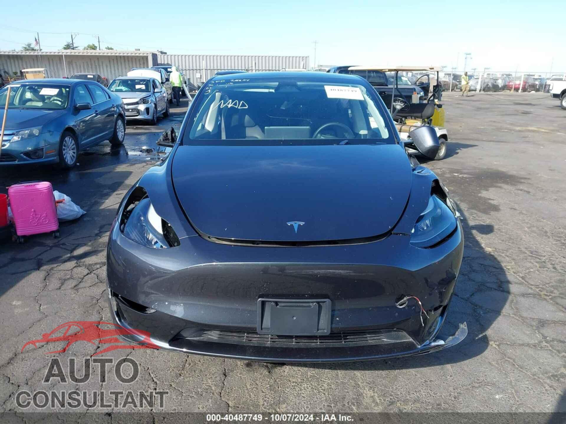 TESLA MODEL Y 2024 - 7SAYGAEE8RF069271