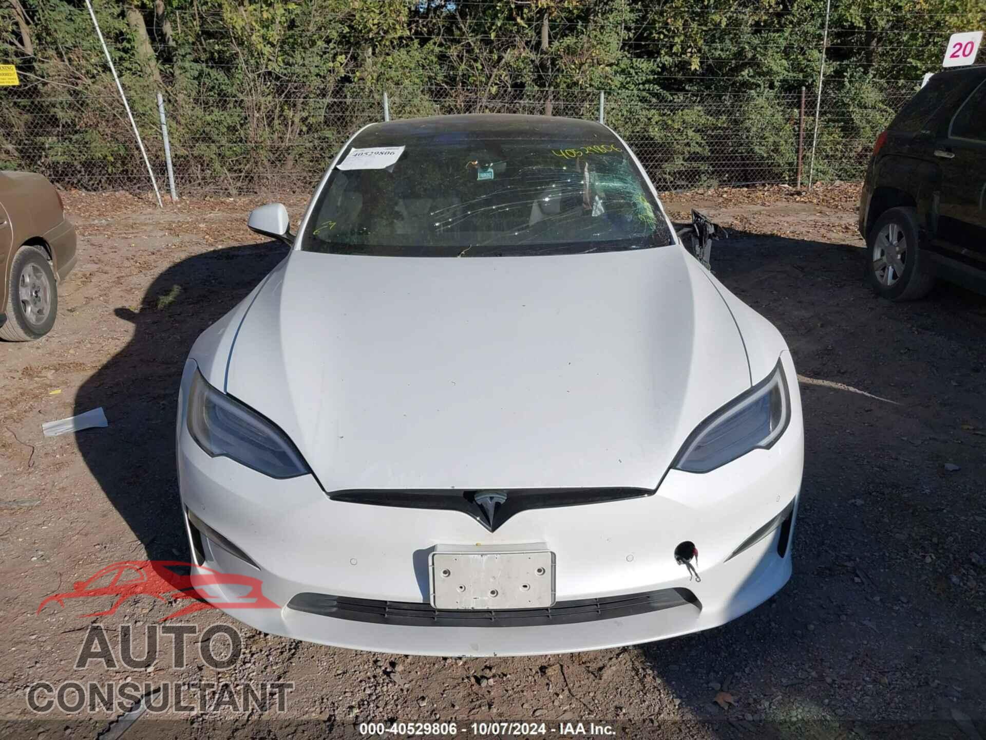 TESLA MODEL S 2021 - 5YJSA1E59MF456294