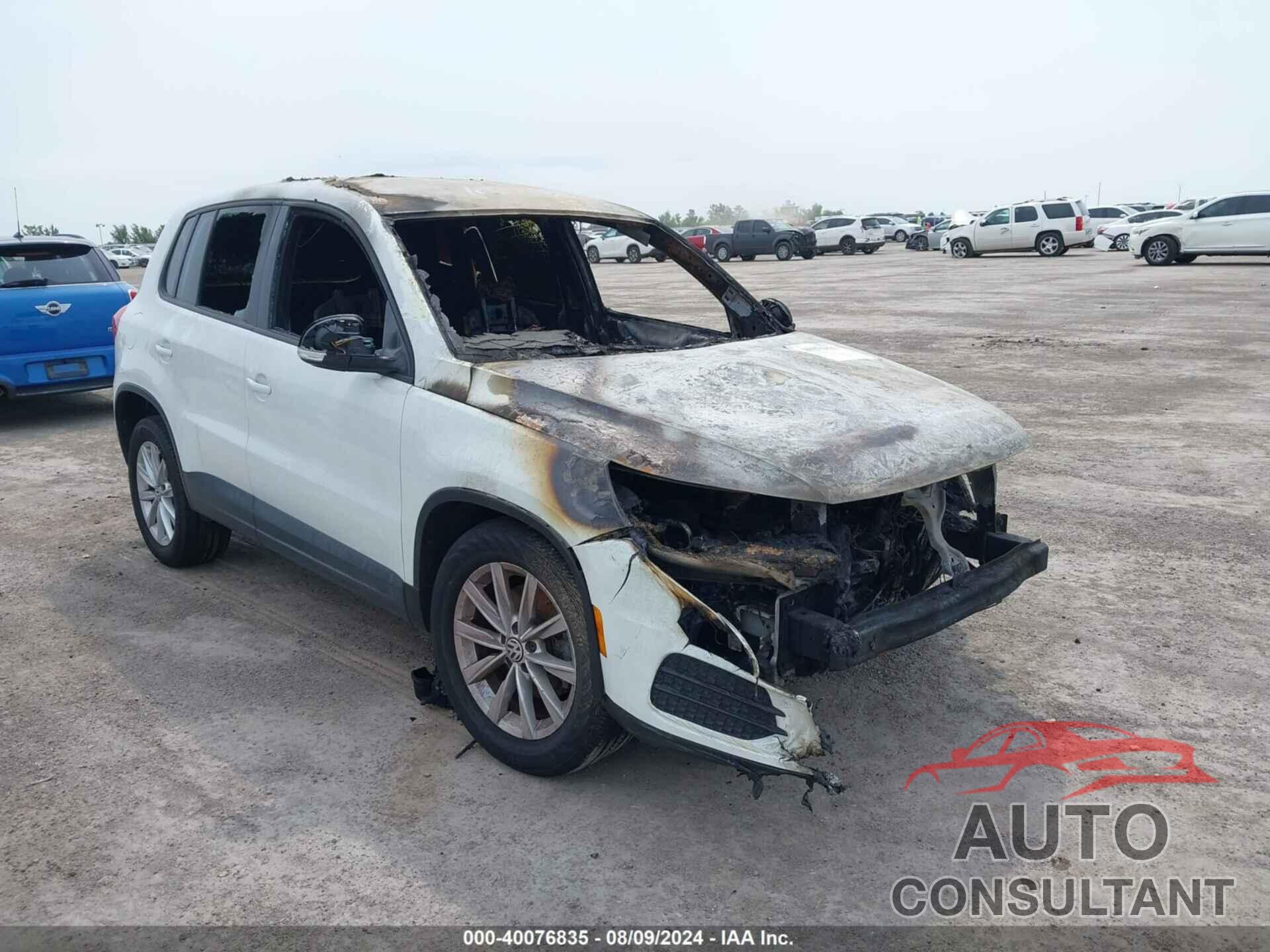 VOLKSWAGEN TIGUAN 2017 - WVGBV7AX6HK051755