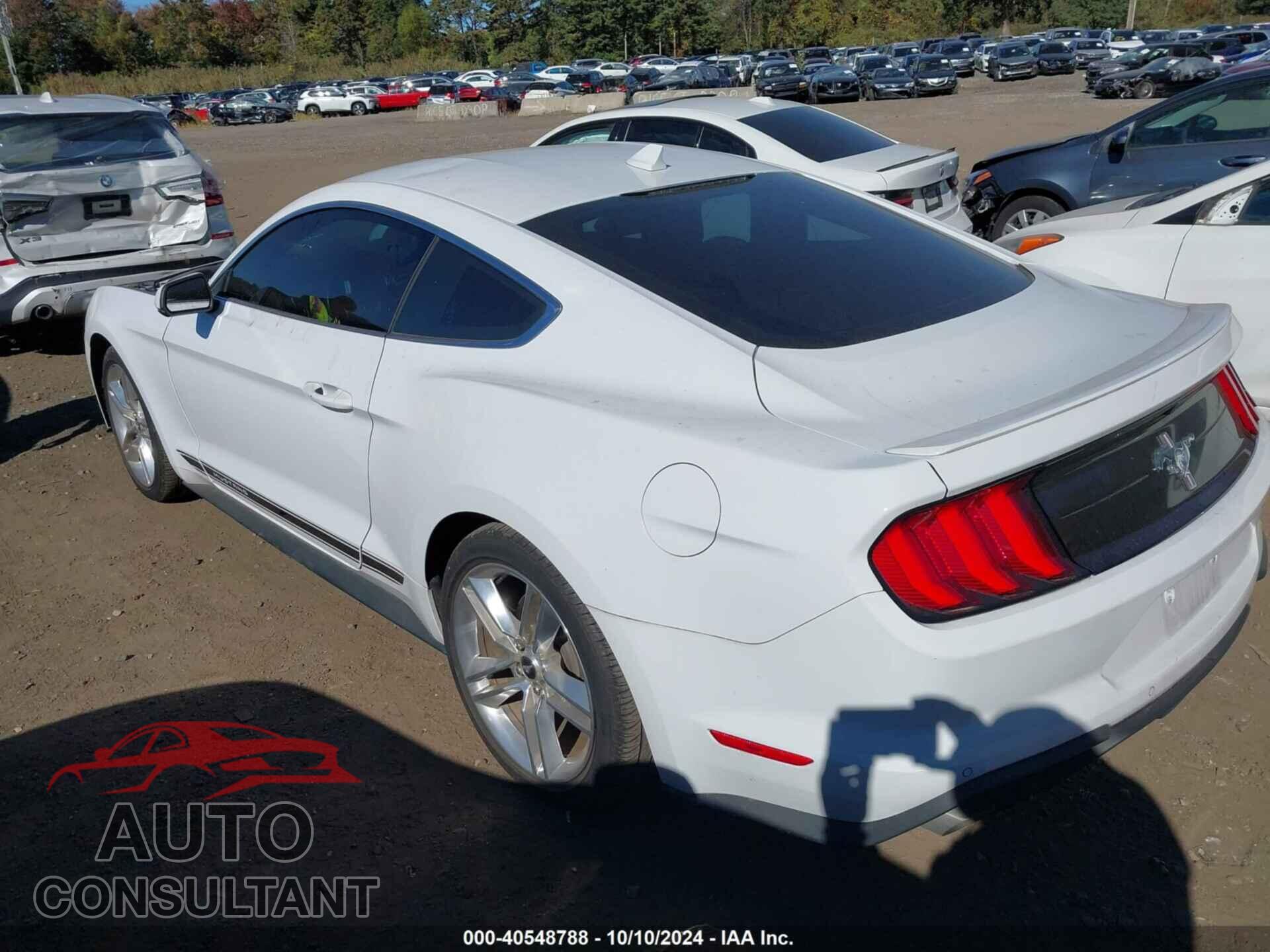 FORD MUSTANG 2021 - 1FA6P8TH3M5155548