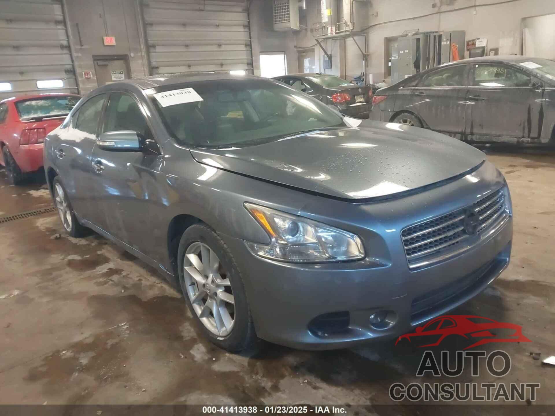 NISSAN MAXIMA 2010 - 1N4AA5AP7AC814162