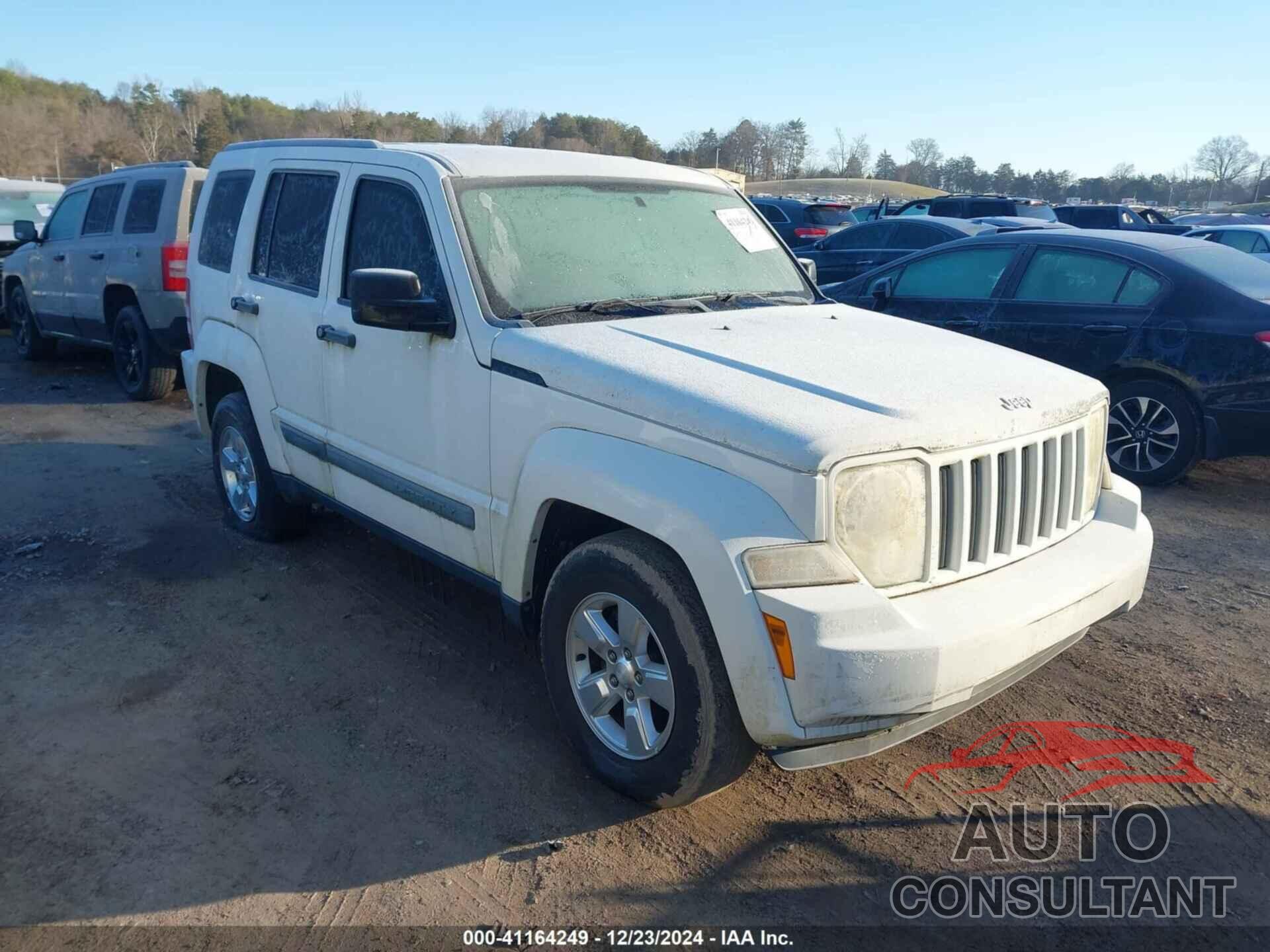 JEEP LIBERTY 2010 - 1J4PP2GK5AW181277