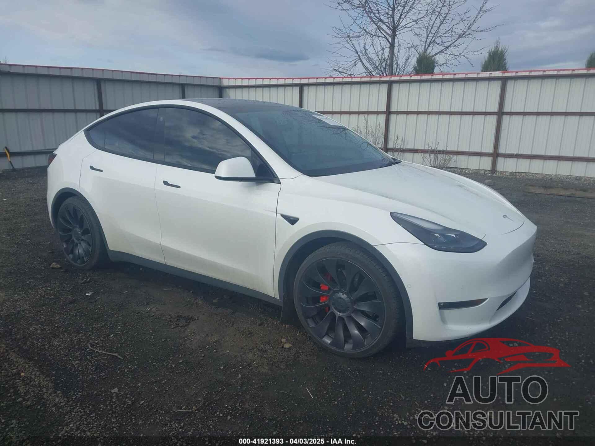 TESLA MODEL Y 2021 - 5YJYGDEF1MF244556