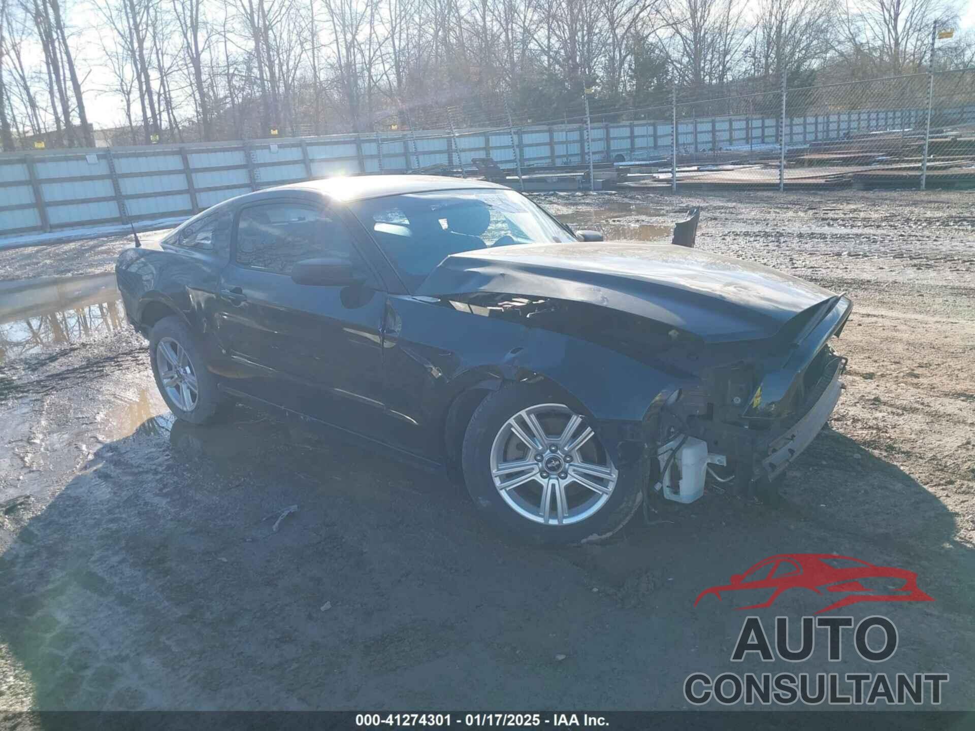 FORD MUSTANG 2014 - 1ZVBP8AM6E5315090