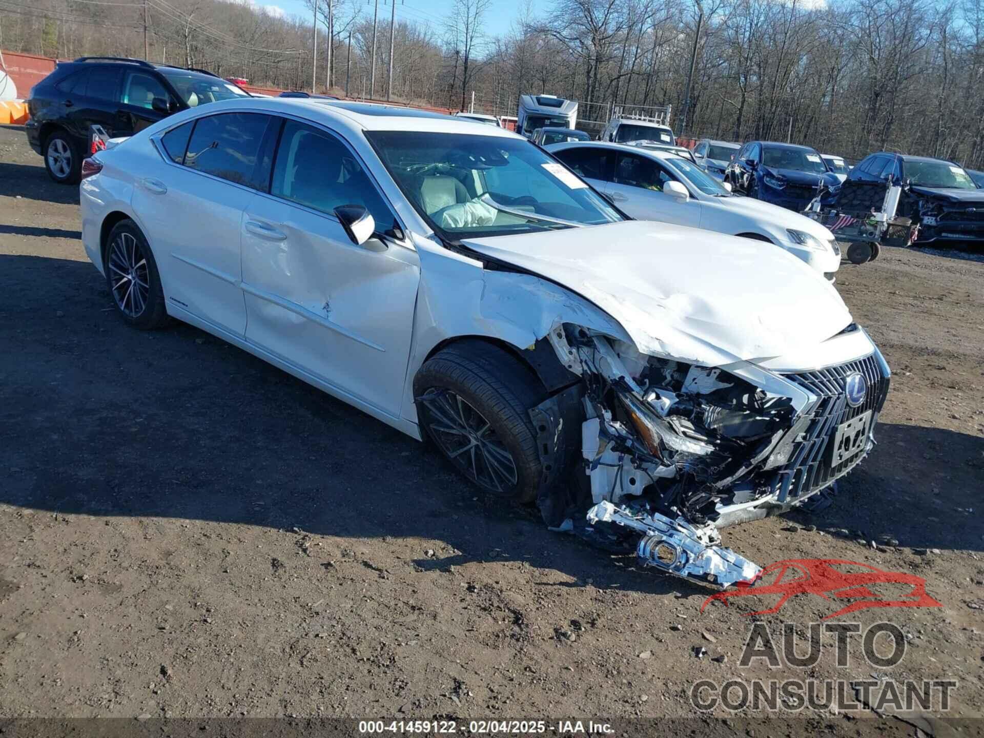 LEXUS ES 300H 2022 - 58ADA1C16NU016636