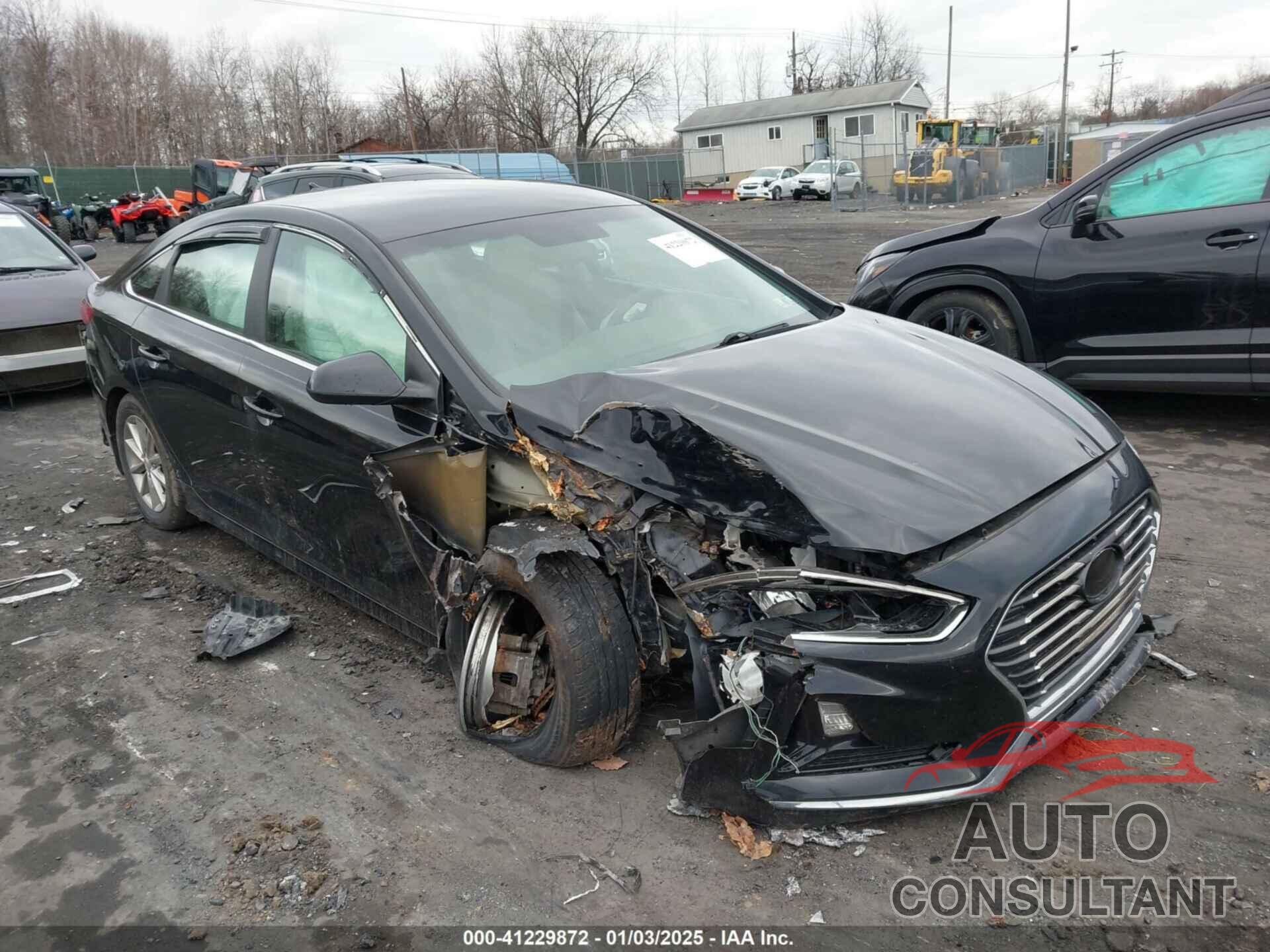 HYUNDAI SONATA 2019 - 5NPE24AF3KH735698