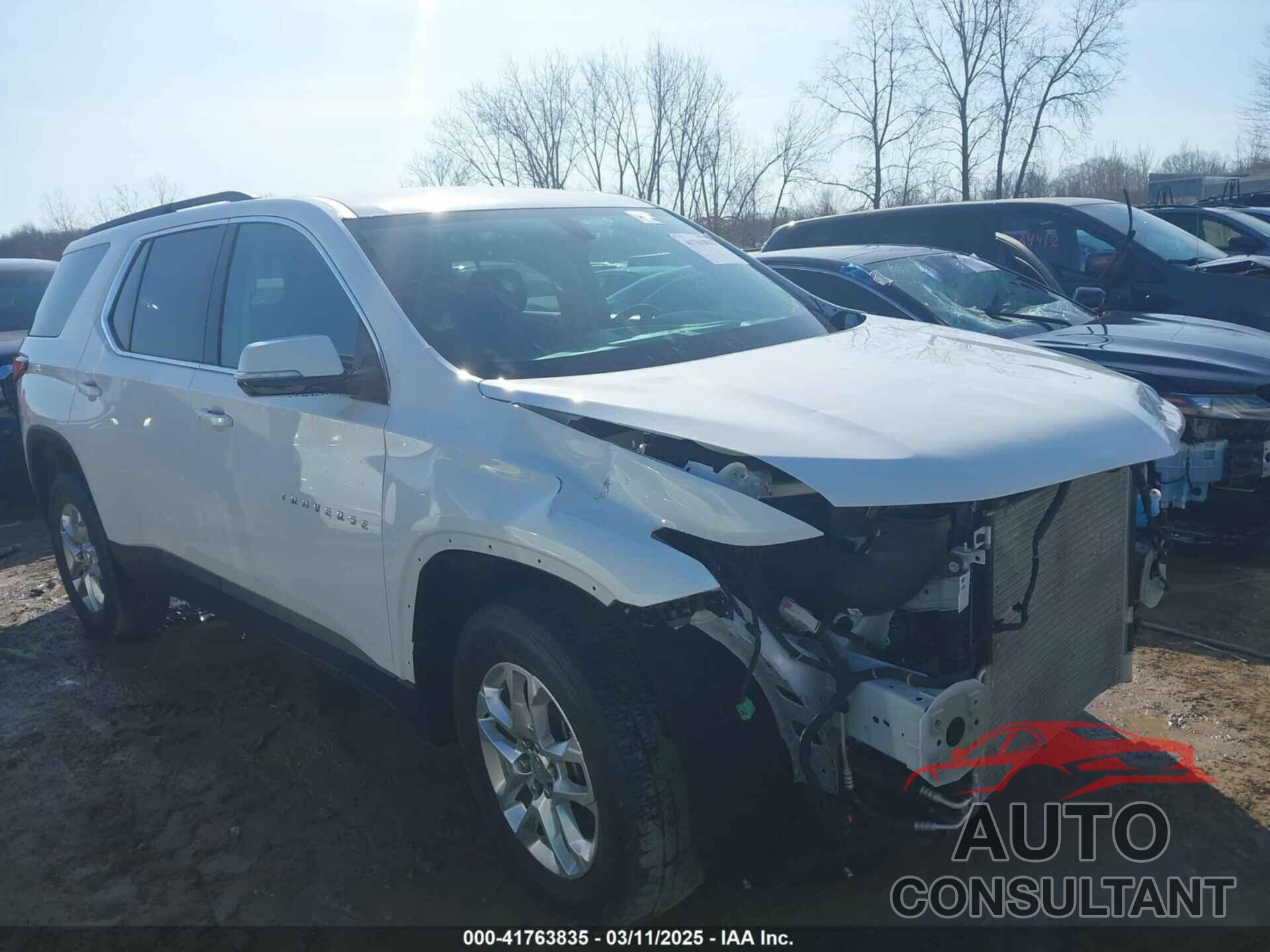 CHEVROLET TRAVERSE 2019 - 1GNERGKW7KJ318482