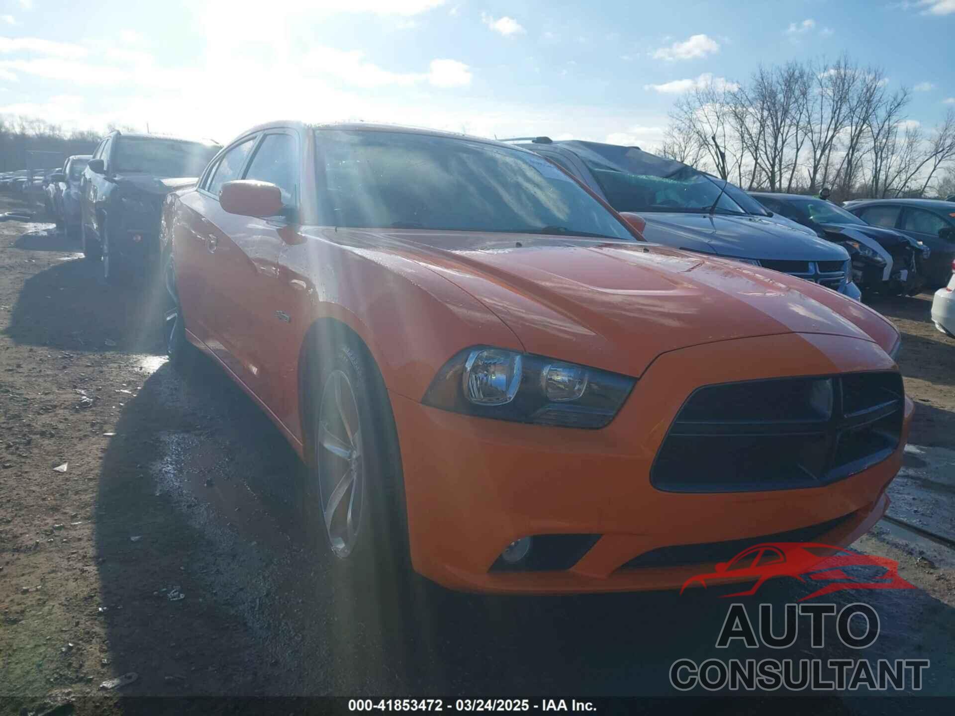 DODGE CHARGER 2014 - 2C3CDXHG6EH295785
