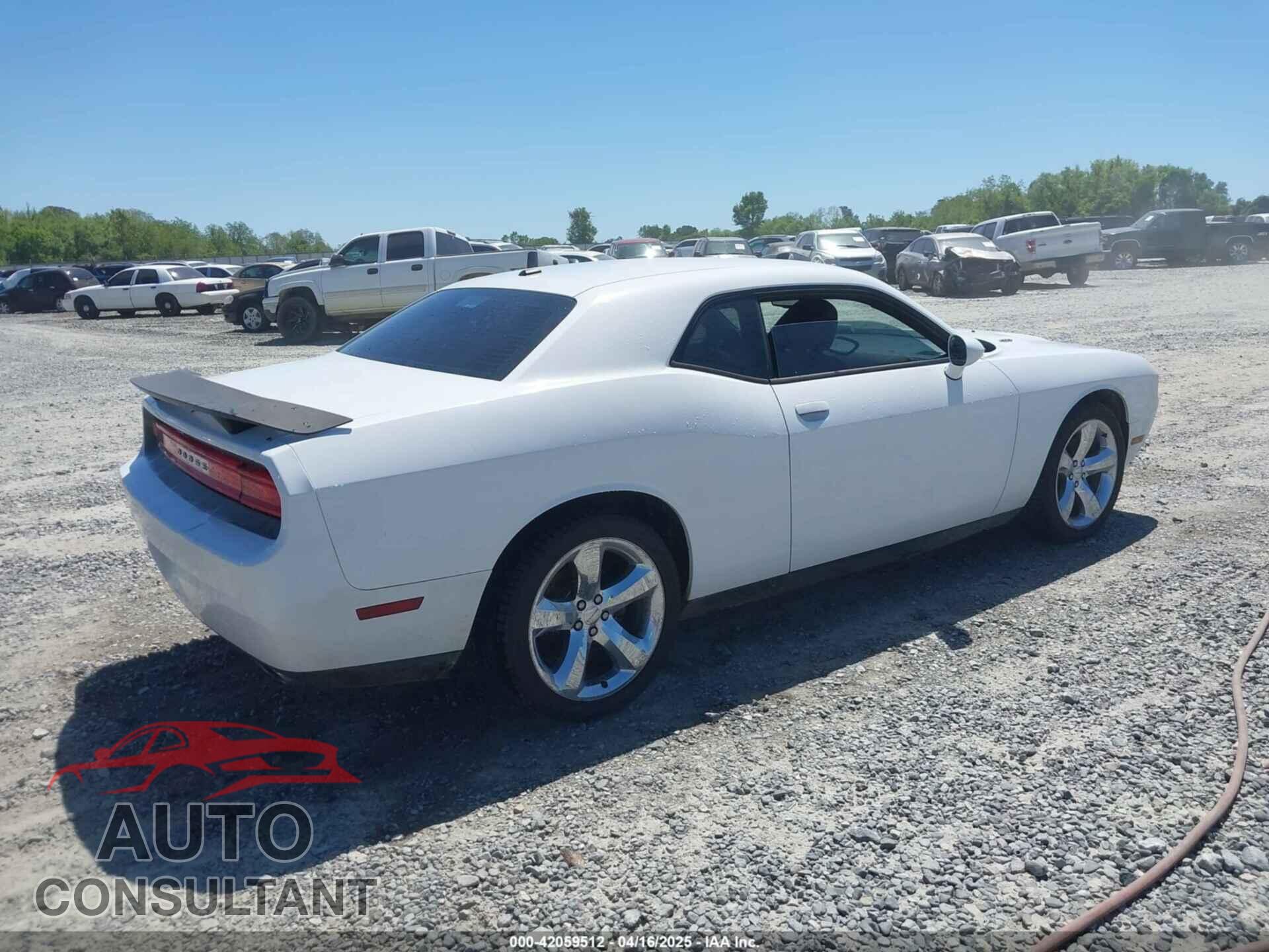 DODGE CHALLENGER 2013 - 2C3CDYBTXDH562582