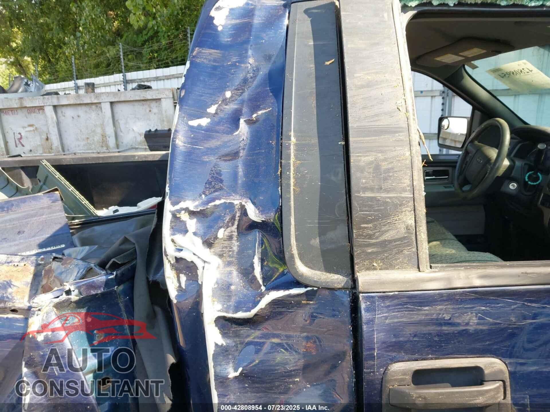 FORD F-150 2011 - 1FTNF1EF6BKD00446