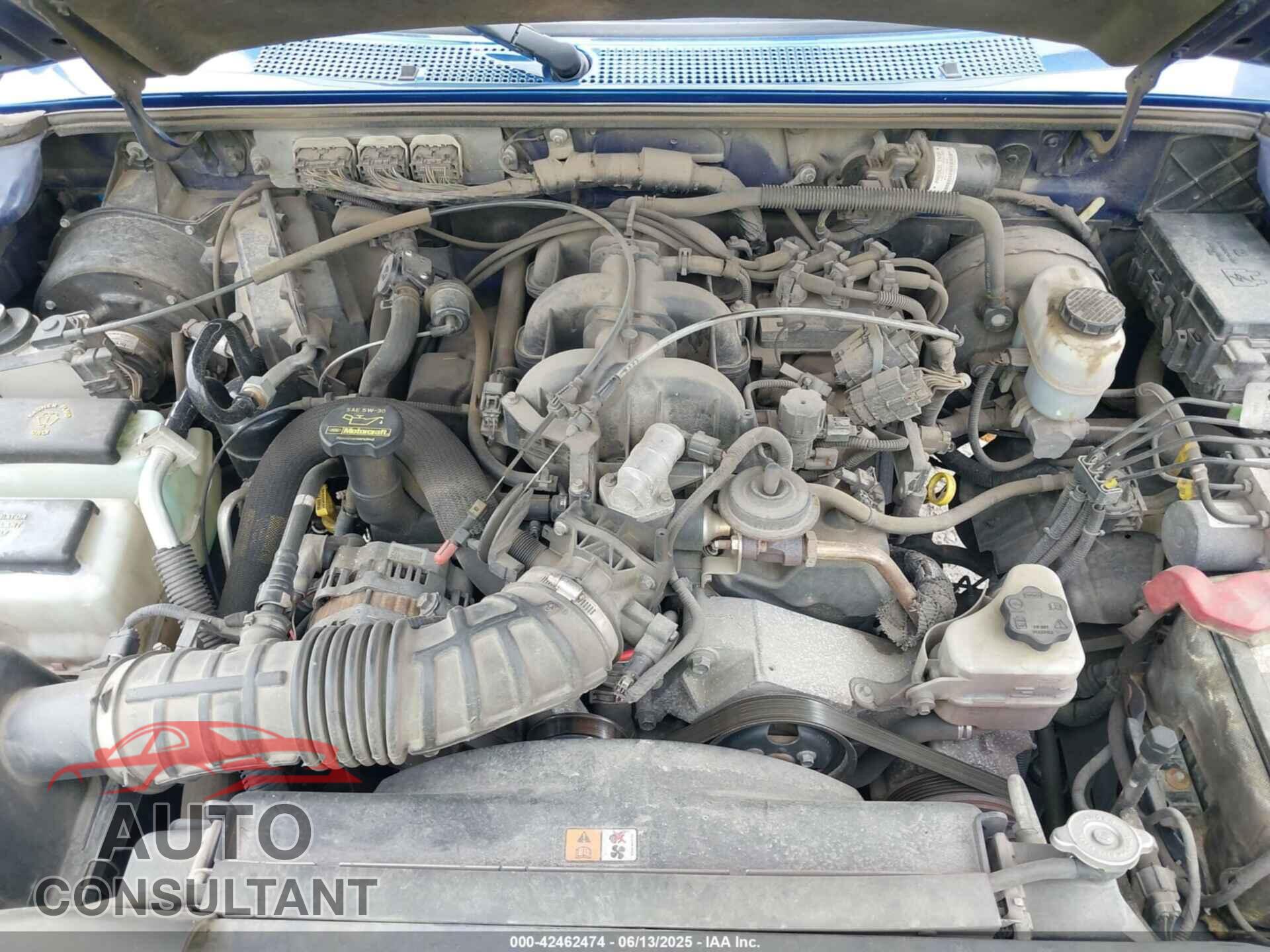 FORD RANGER 2010 - 1FTLR4FE5APA40533