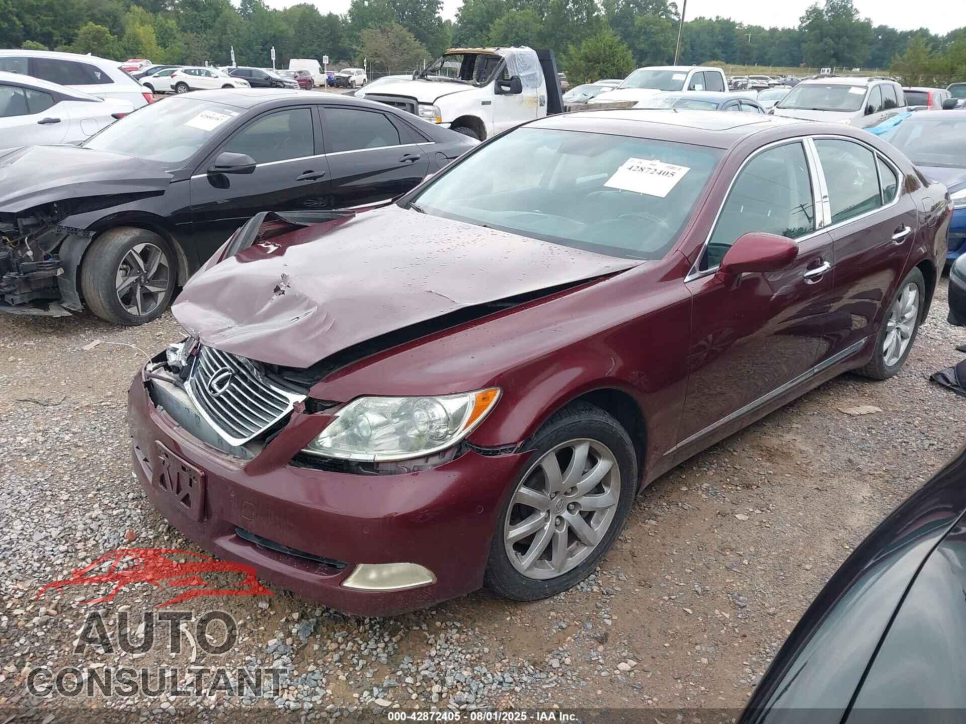LEXUS LS 460 2009 - JTHCL46F595001649