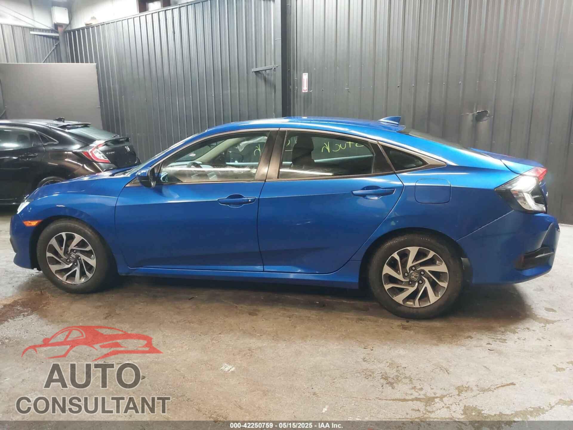 HONDA CIVIC 2017 - 2HGFC2F71HH511341