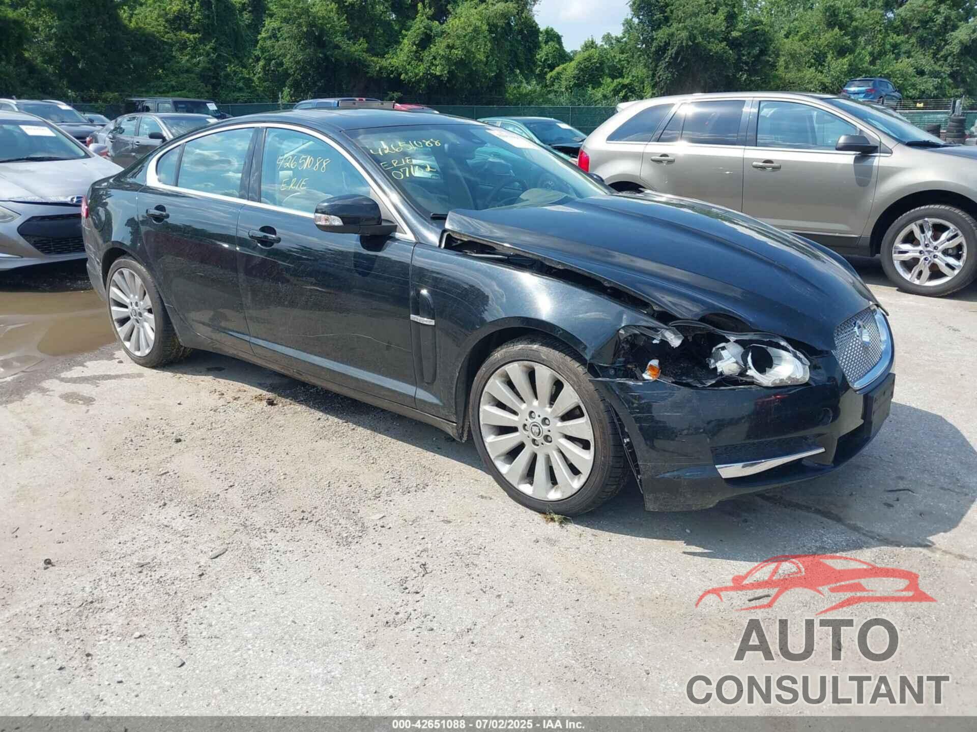 JAGUAR XF 2009 - SAJWA06B29HR36766