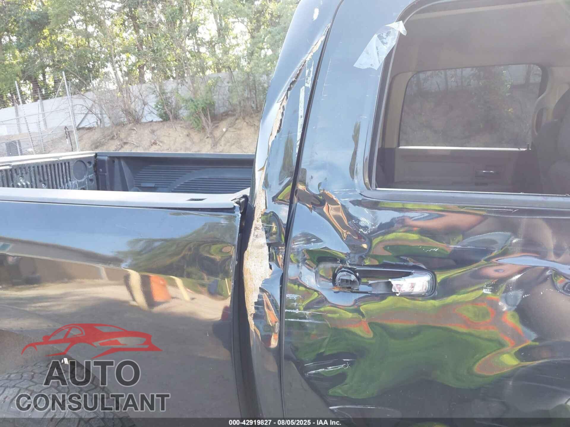 DODGE RAM 1500 2010 - 1D7RV1CT8AS160837