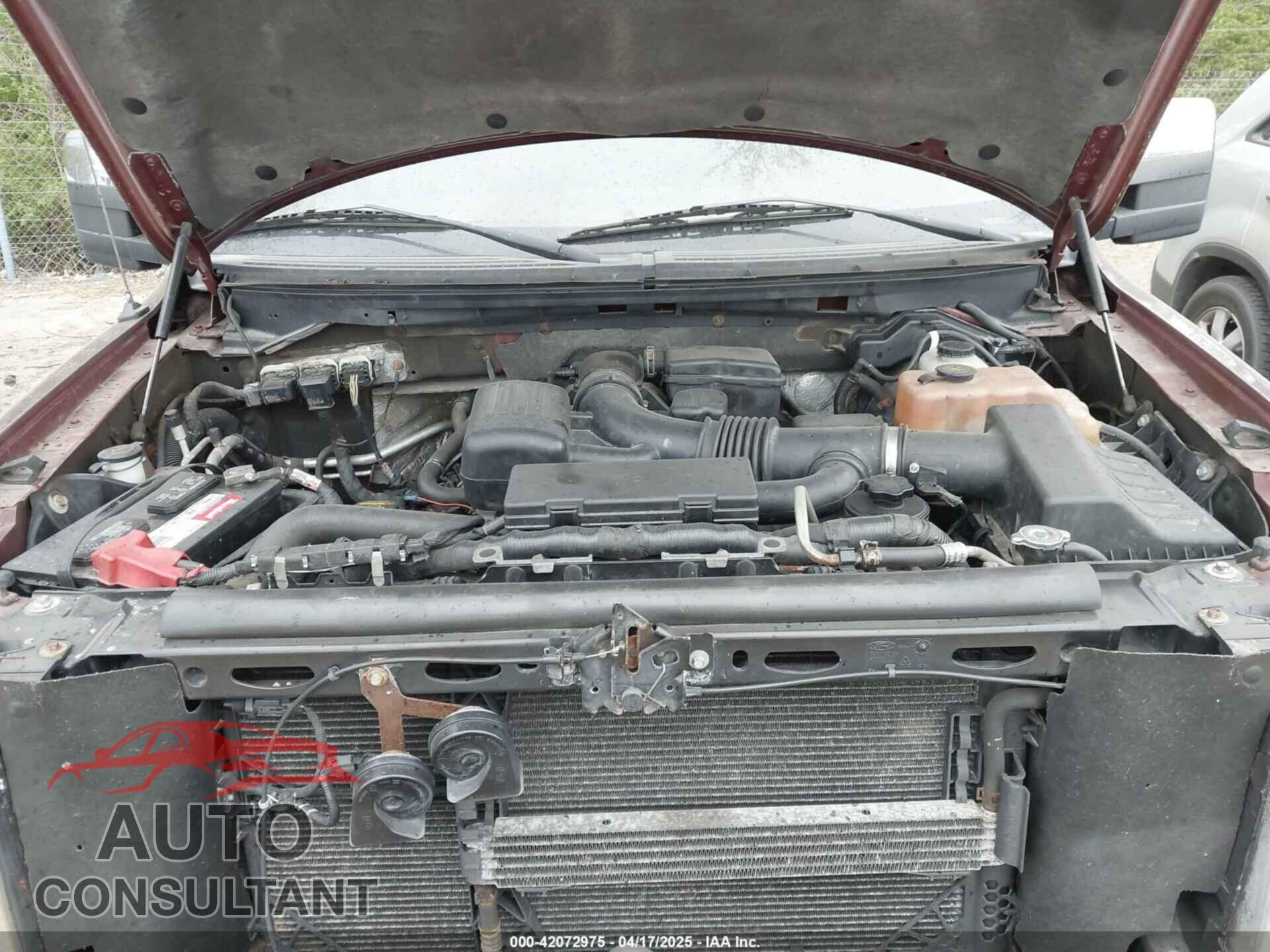 FORD F-150 2010 - 1FTFW1EV7AKE24686