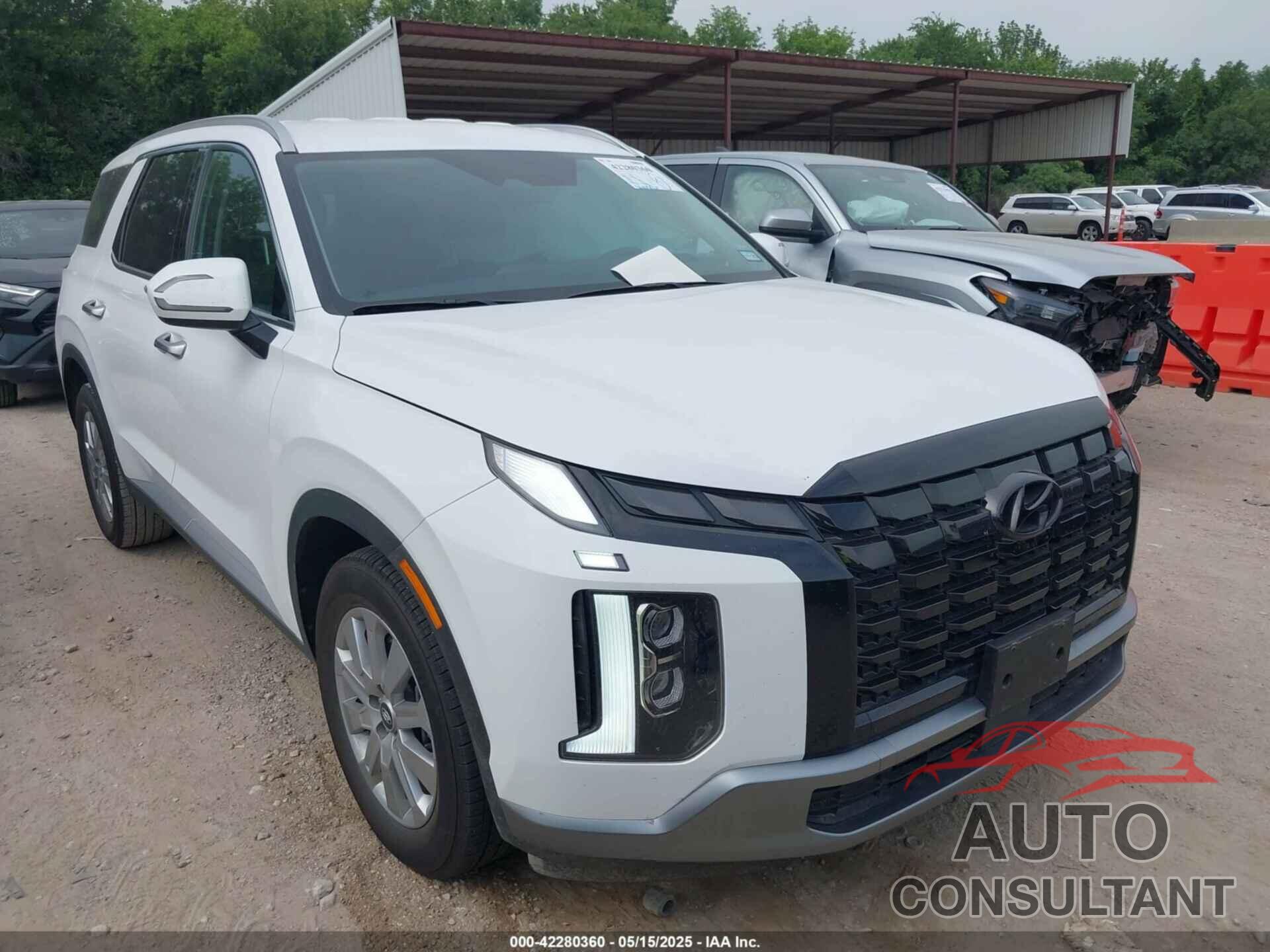 HYUNDAI PALISADE 2025 - KM8R24GE9SU876048