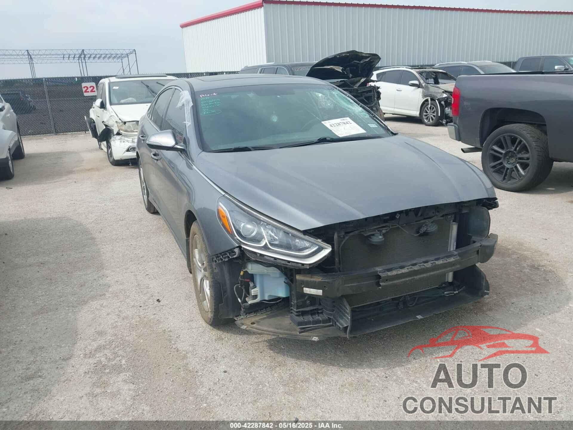 HYUNDAI SONATA 2019 - 5NPE34AF9KH767097