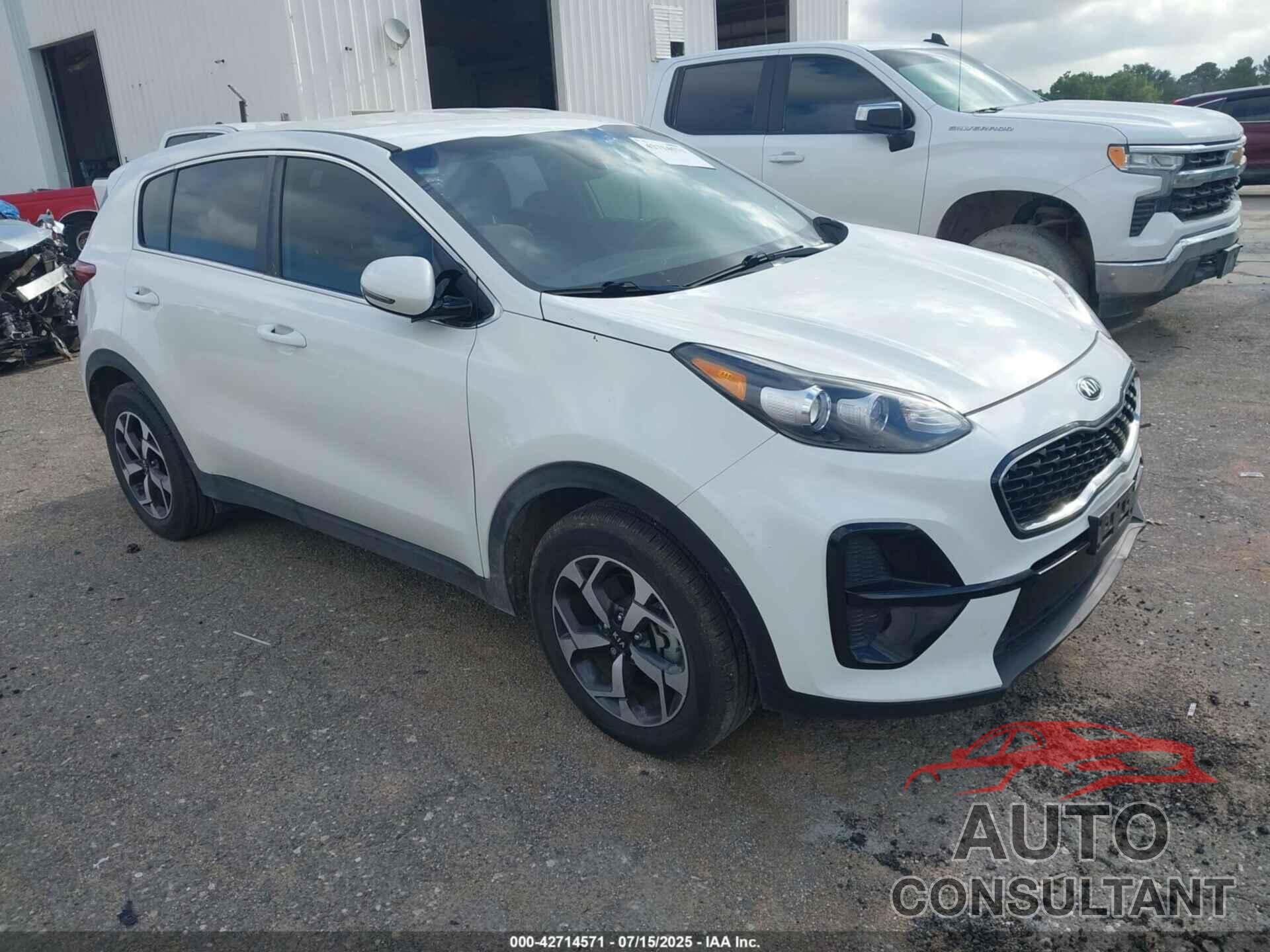 KIA SPORTAGE 2020 - KNDPM3AC9L7824362