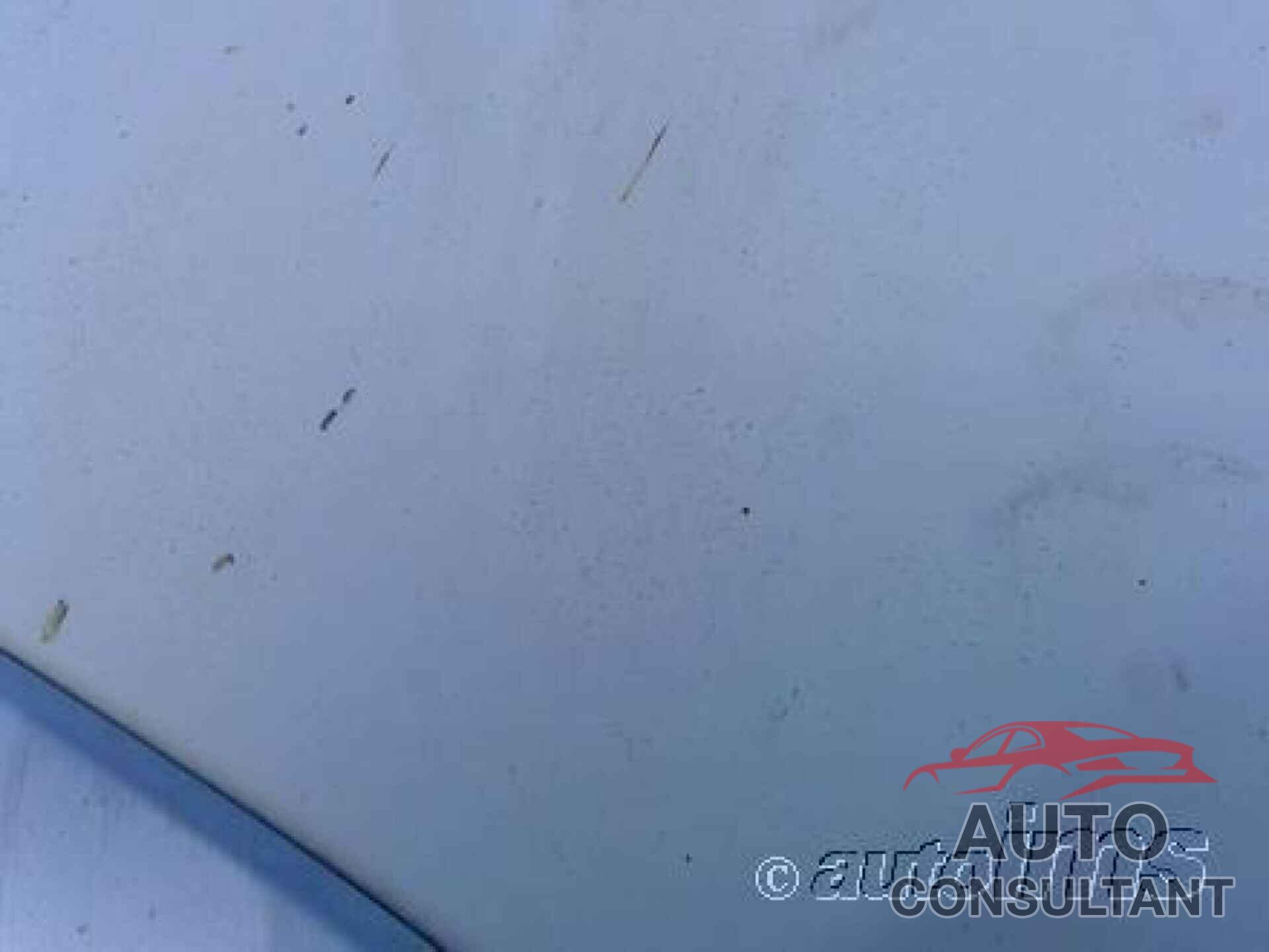 TOYOTA TUNDRA 2010 - 5TFLU5F1XAX023762