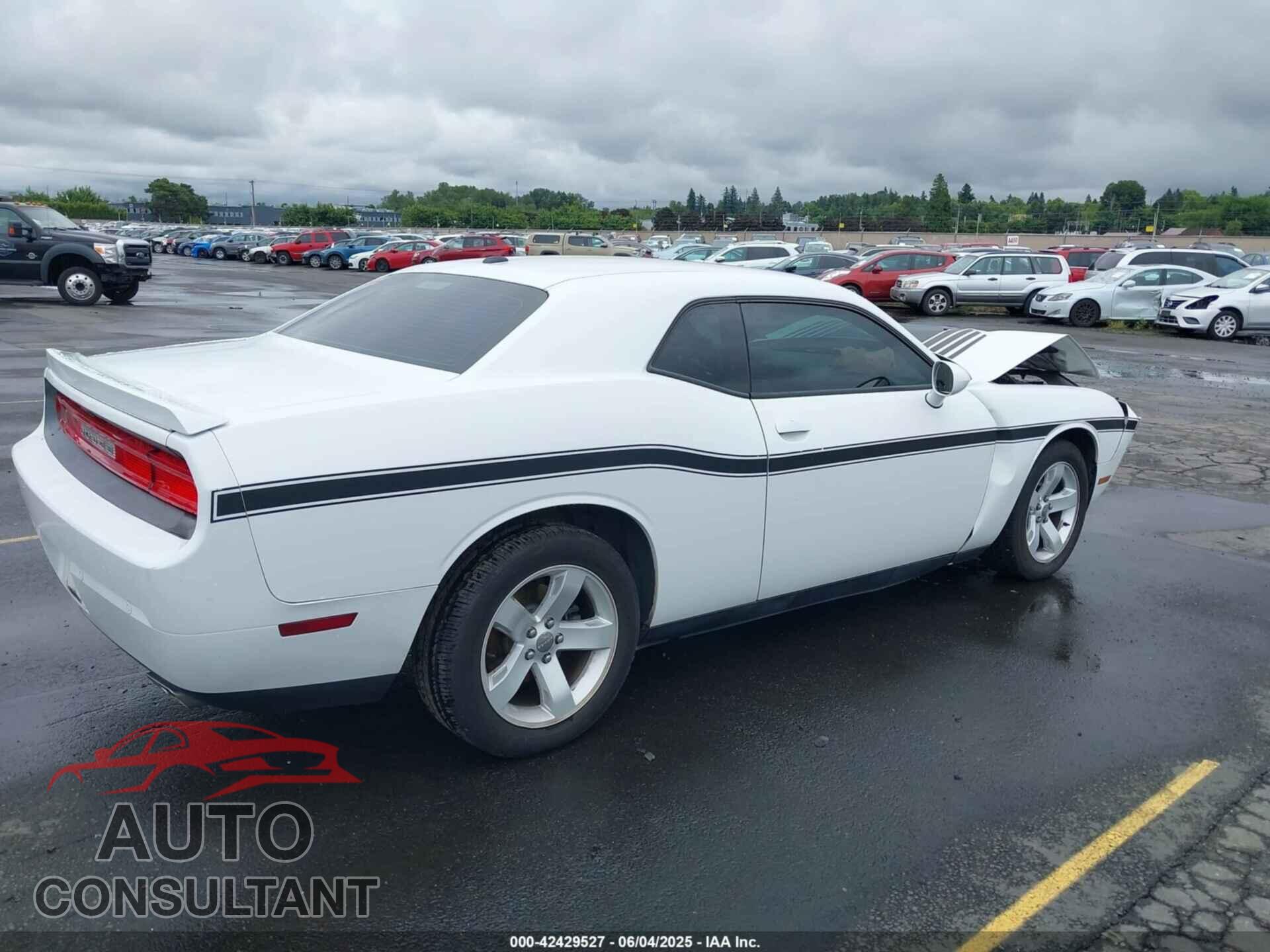 DODGE CHALLENGER 2013 - 2C3CDYAG3DH724007