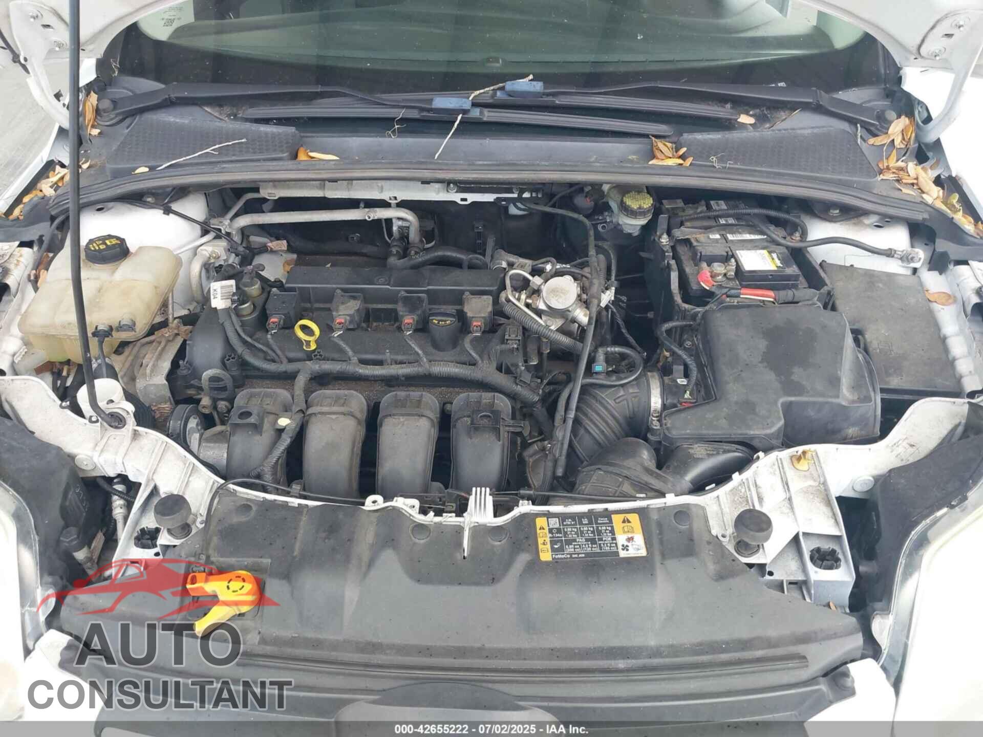 FORD FOCUS 2014 - 1FADP3K29EL422020