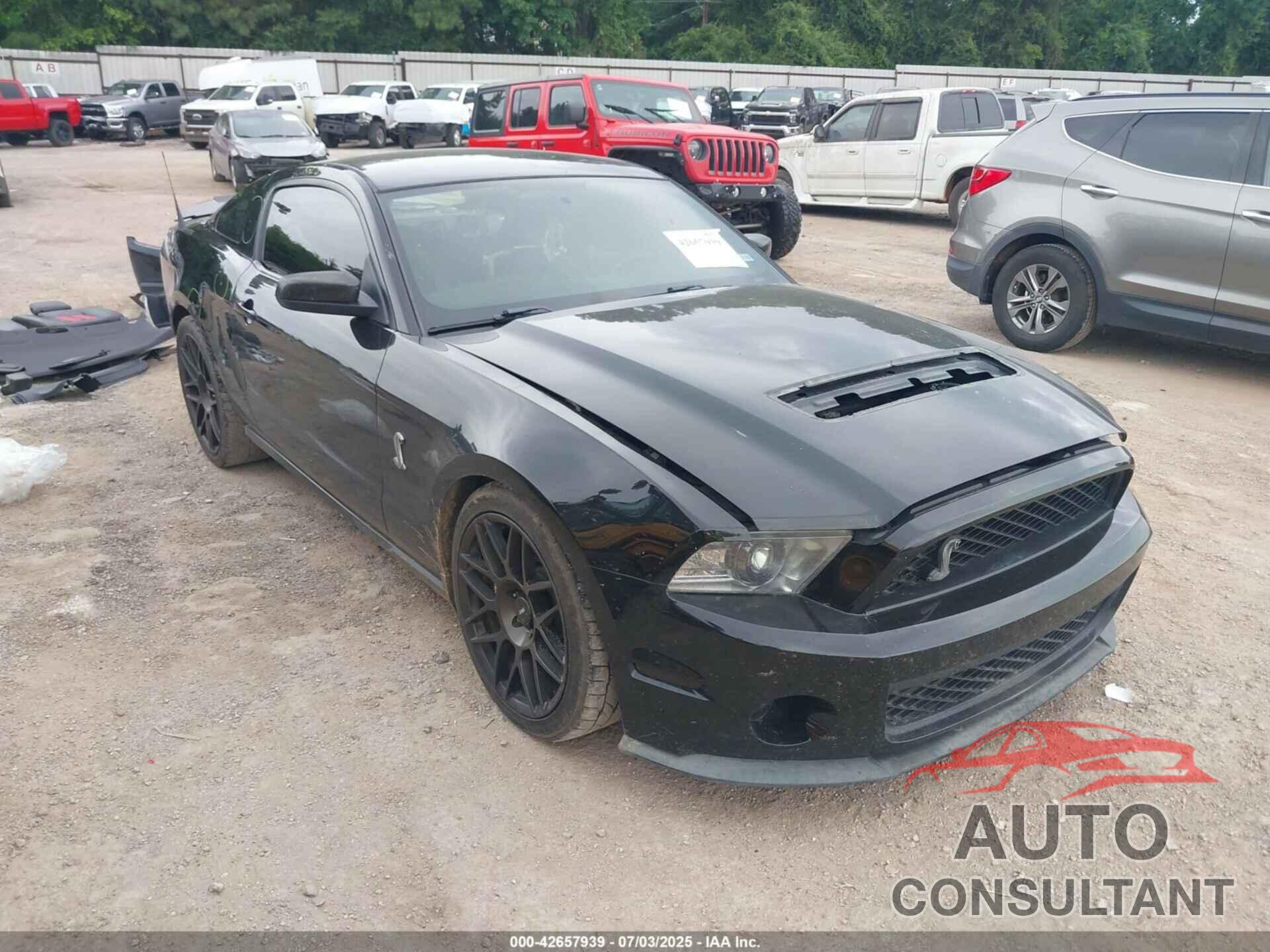 FORD SHELBY GT500 2011 - 1ZVBP8JS5B5156153