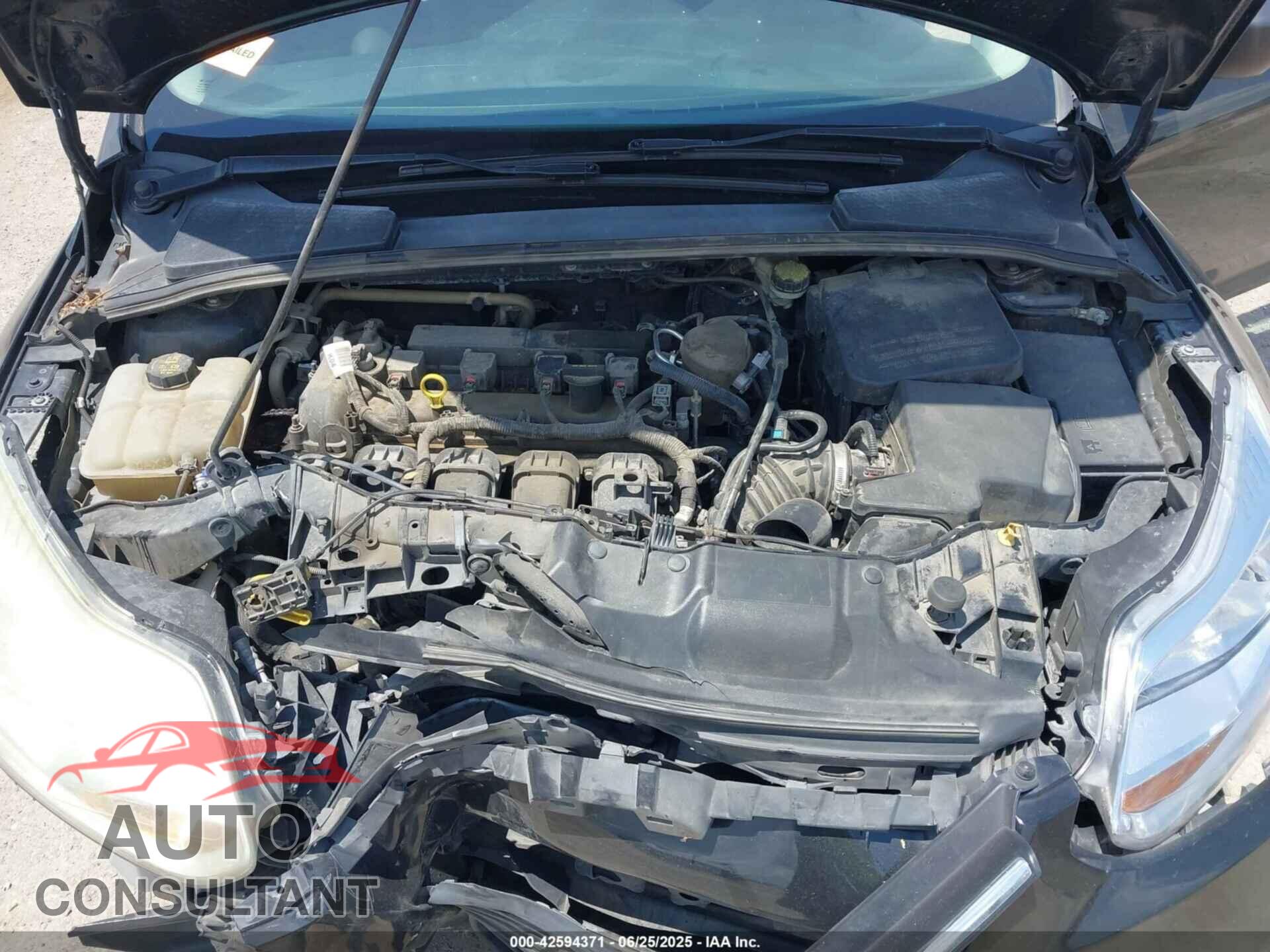 FORD FOCUS 2014 - 1FADP3E2XEL372384