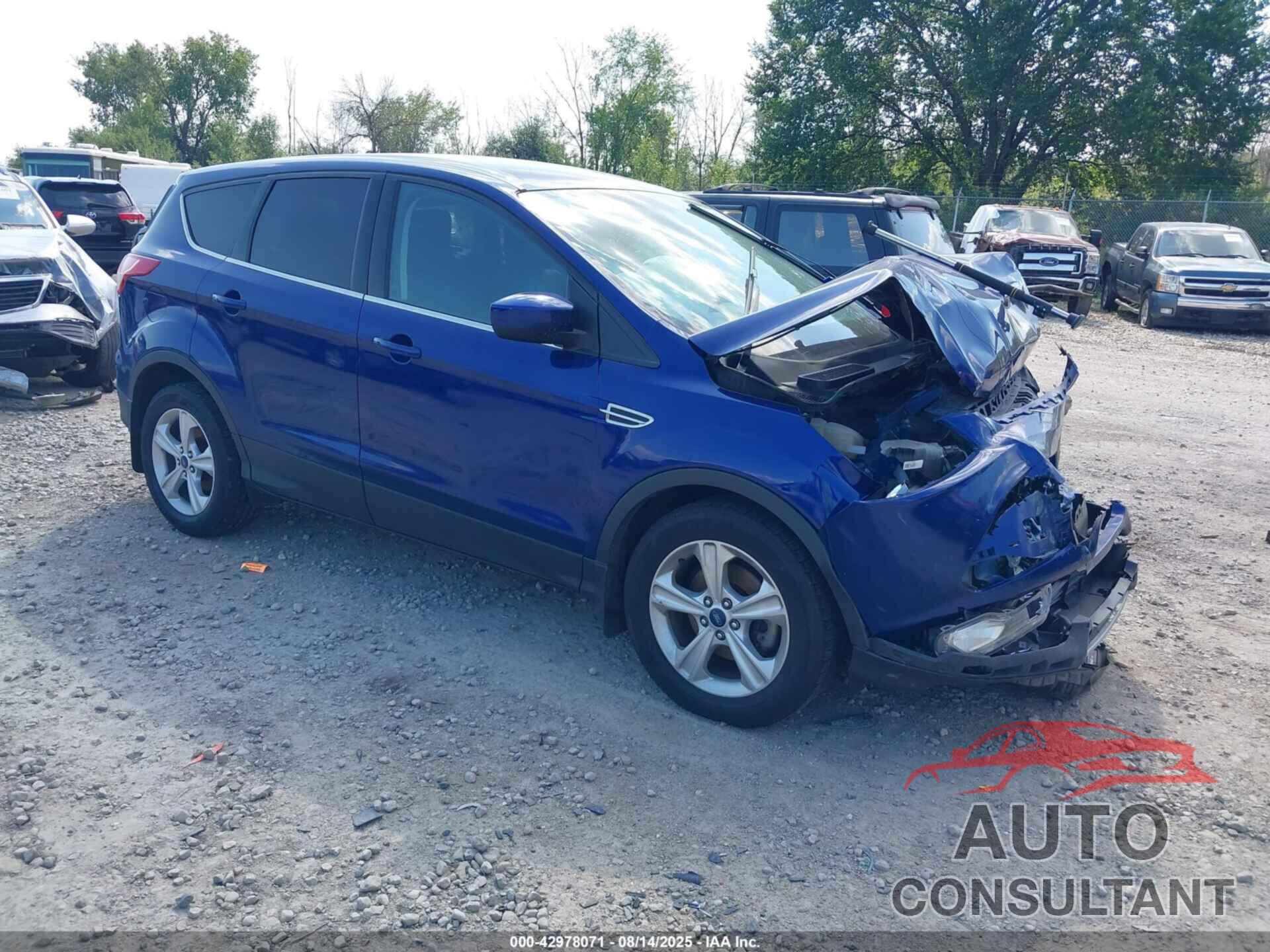 FORD ESCAPE 2014 - 1FMCU0GX9EUC68402