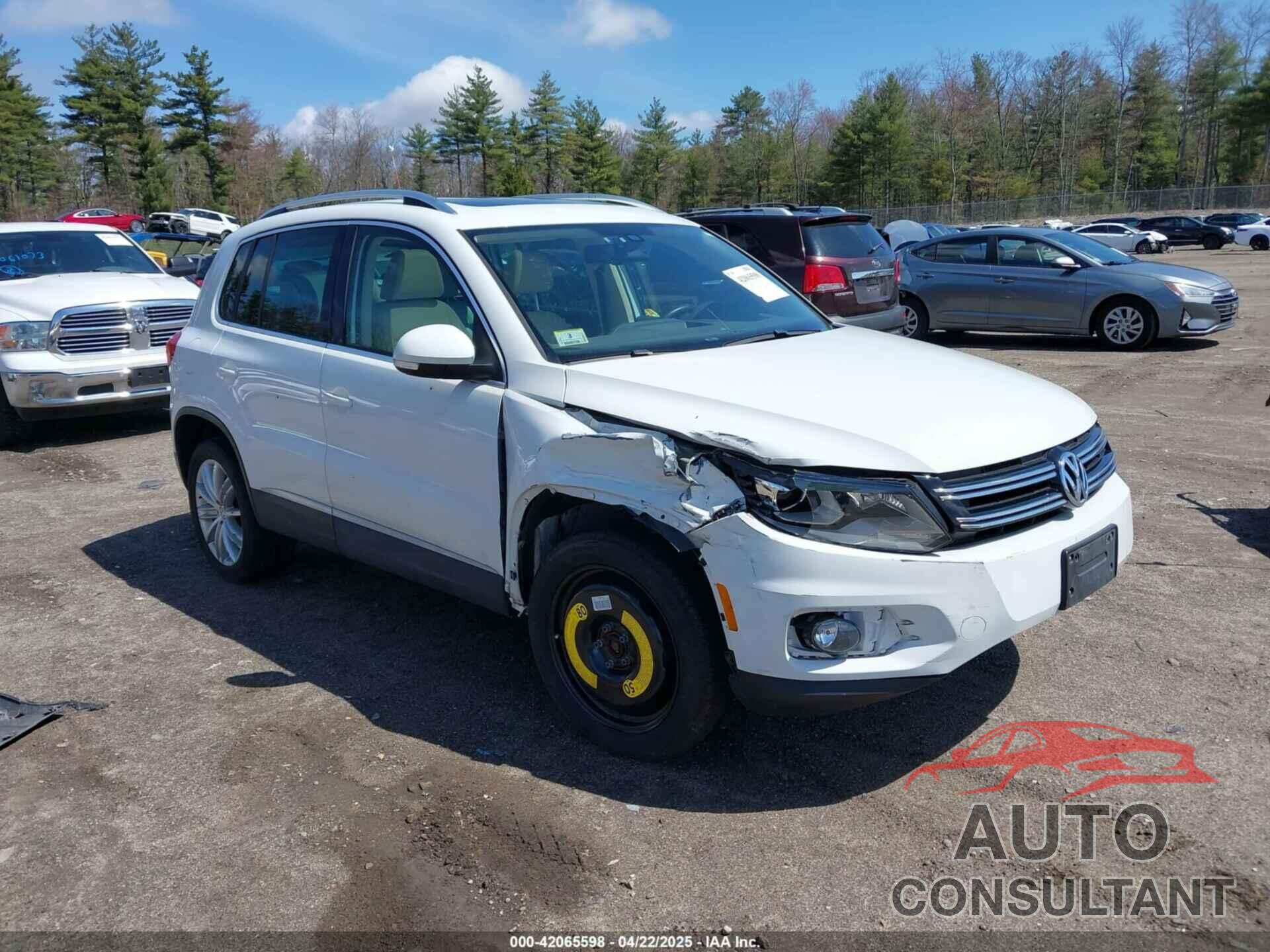 VOLKSWAGEN TIGUAN 2016 - WVGBV7AXXGW507473