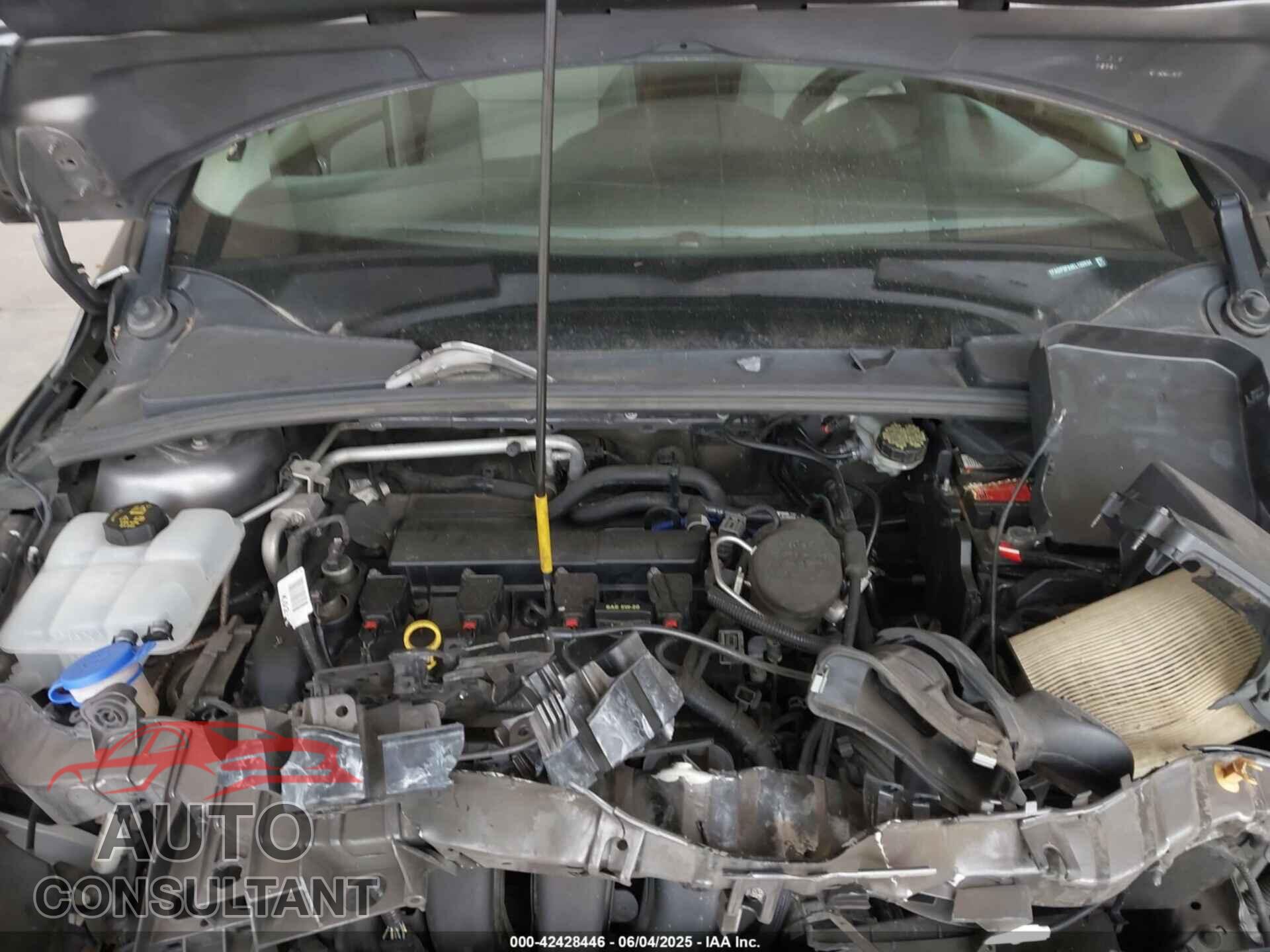 FORD FOCUS 2014 - 1FADP3F24EL132634