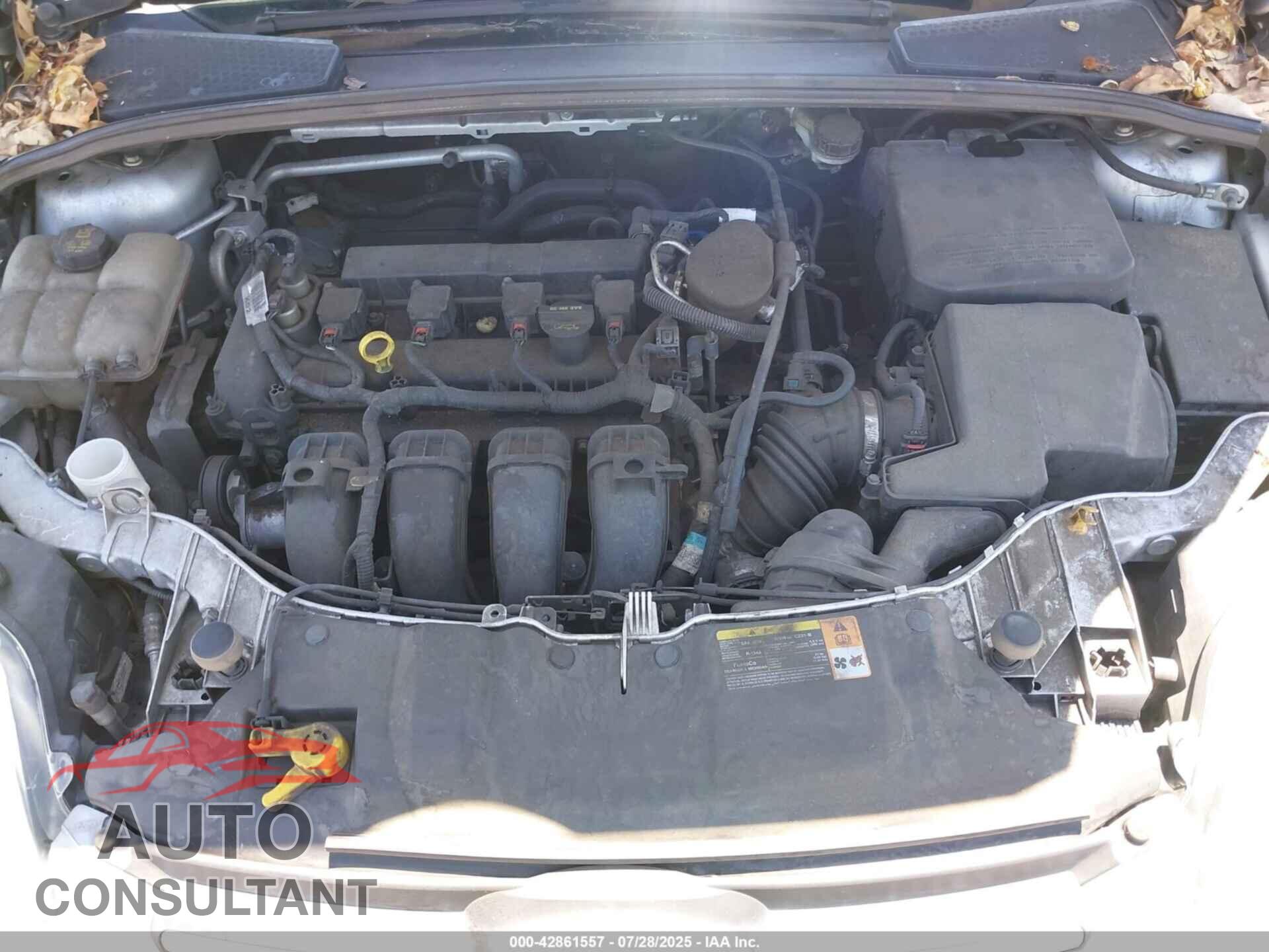 FORD FOCUS 2014 - 1FADP3K22EL200547