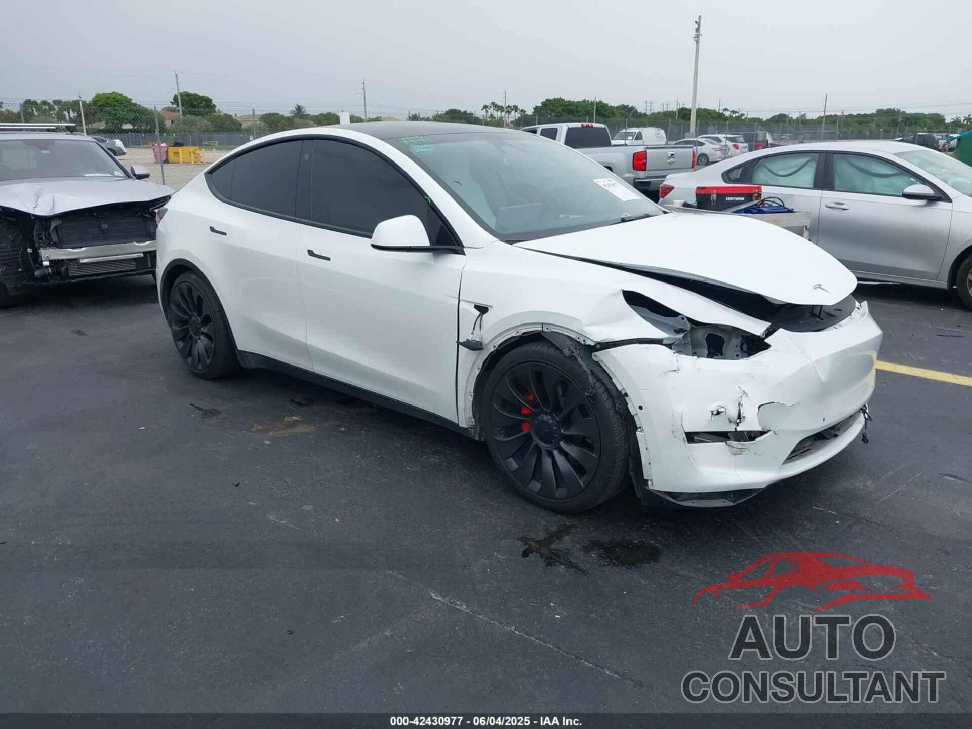 TESLA MODEL Y 2022 - 7SAYGDEF6NF545862
