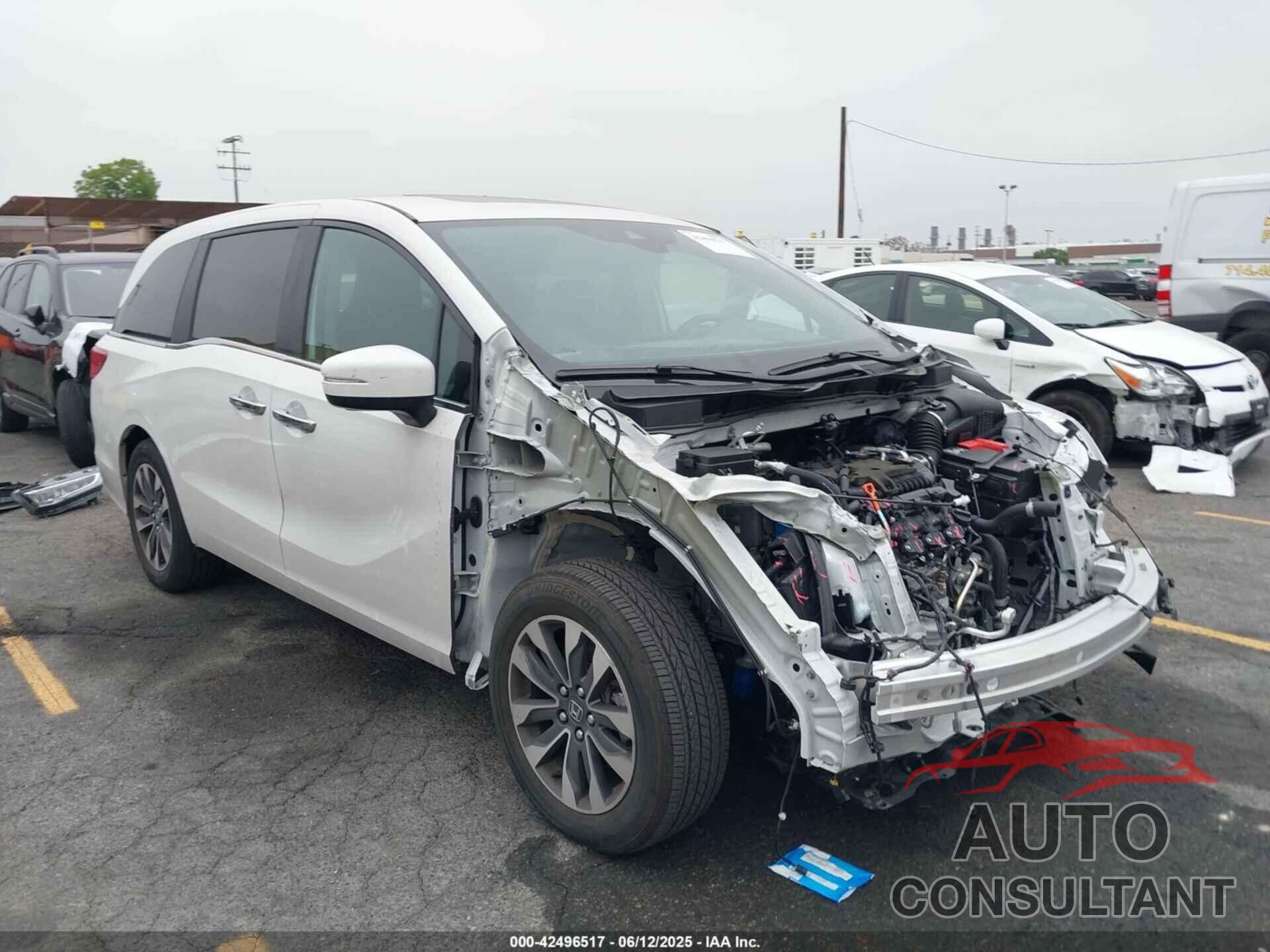 HONDA ODYSSEY 2024 - 5FNRL6H69RB068483