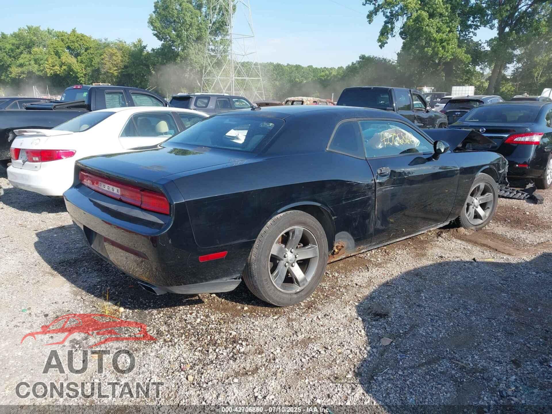 DODGE CHALLENGER 2013 - 2C3CDYAG2DH511761