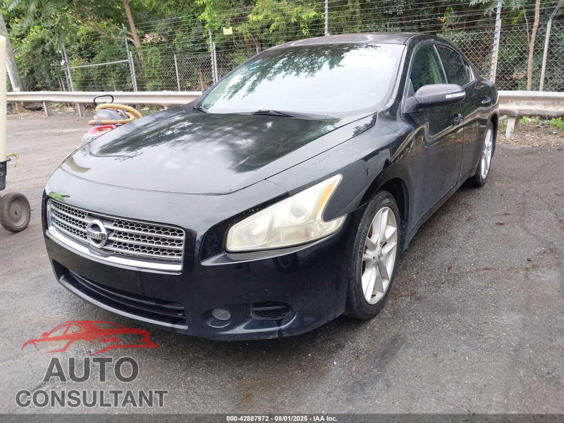NISSAN MAXIMA 2009 - 1N4AA51E19C801837