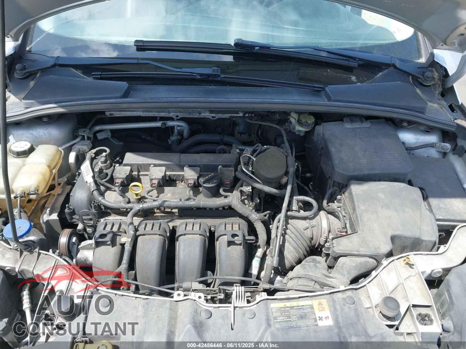 FORD FOCUS 2013 - 1FADP3K2XDL344264