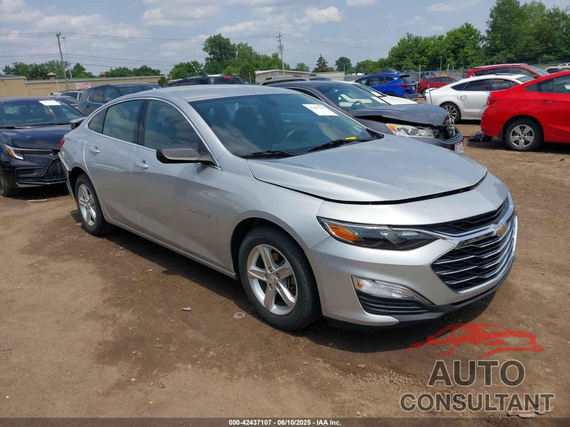 CHEVROLET MALIBU 2019 - 1G1ZC5ST8KF210194