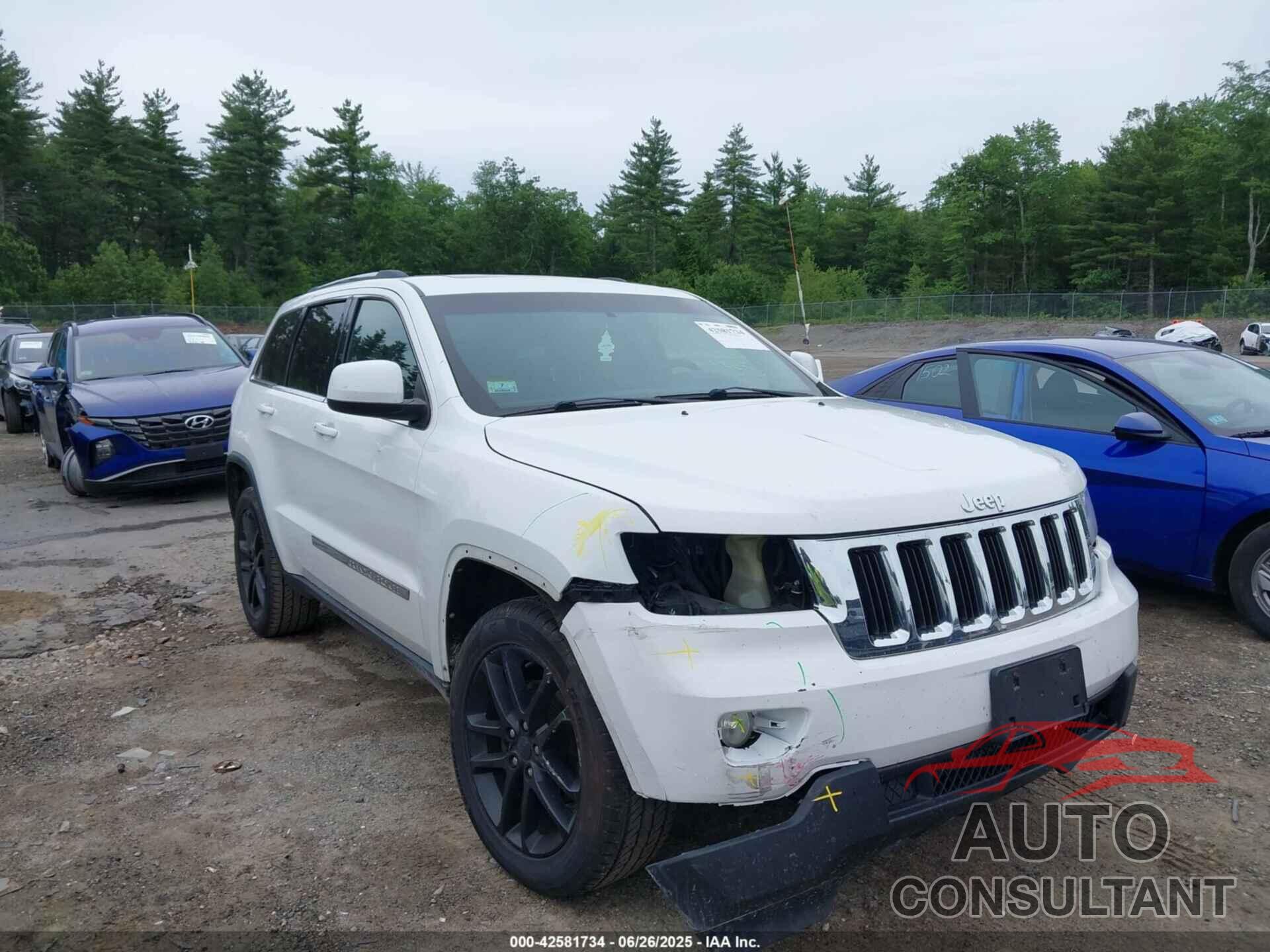 JEEP GRAND CHEROKEE 2013 - 1C4RJFAG1DC599384