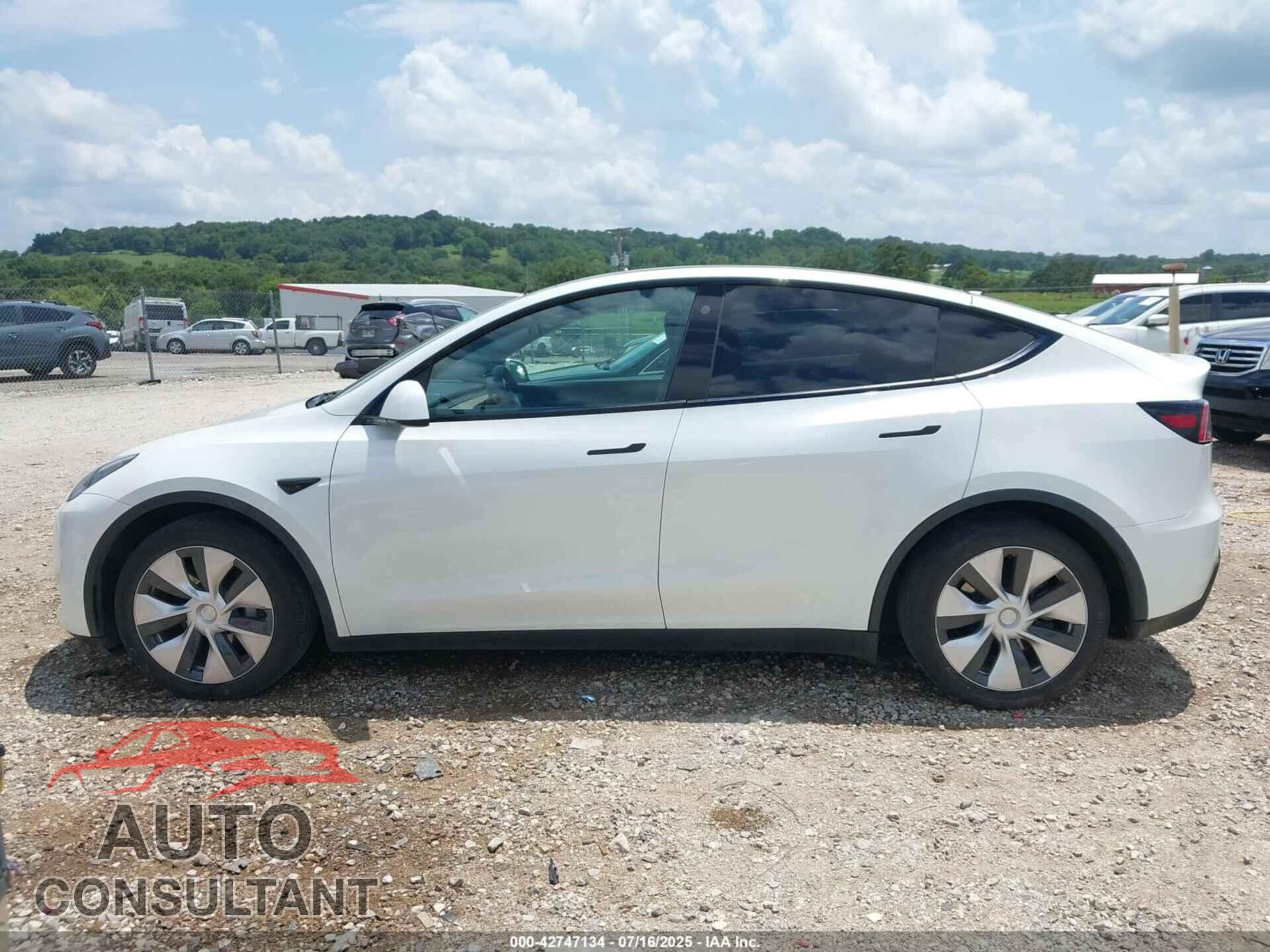 TESLA MODEL Y 2021 - 5YJYGDEEXMF096687