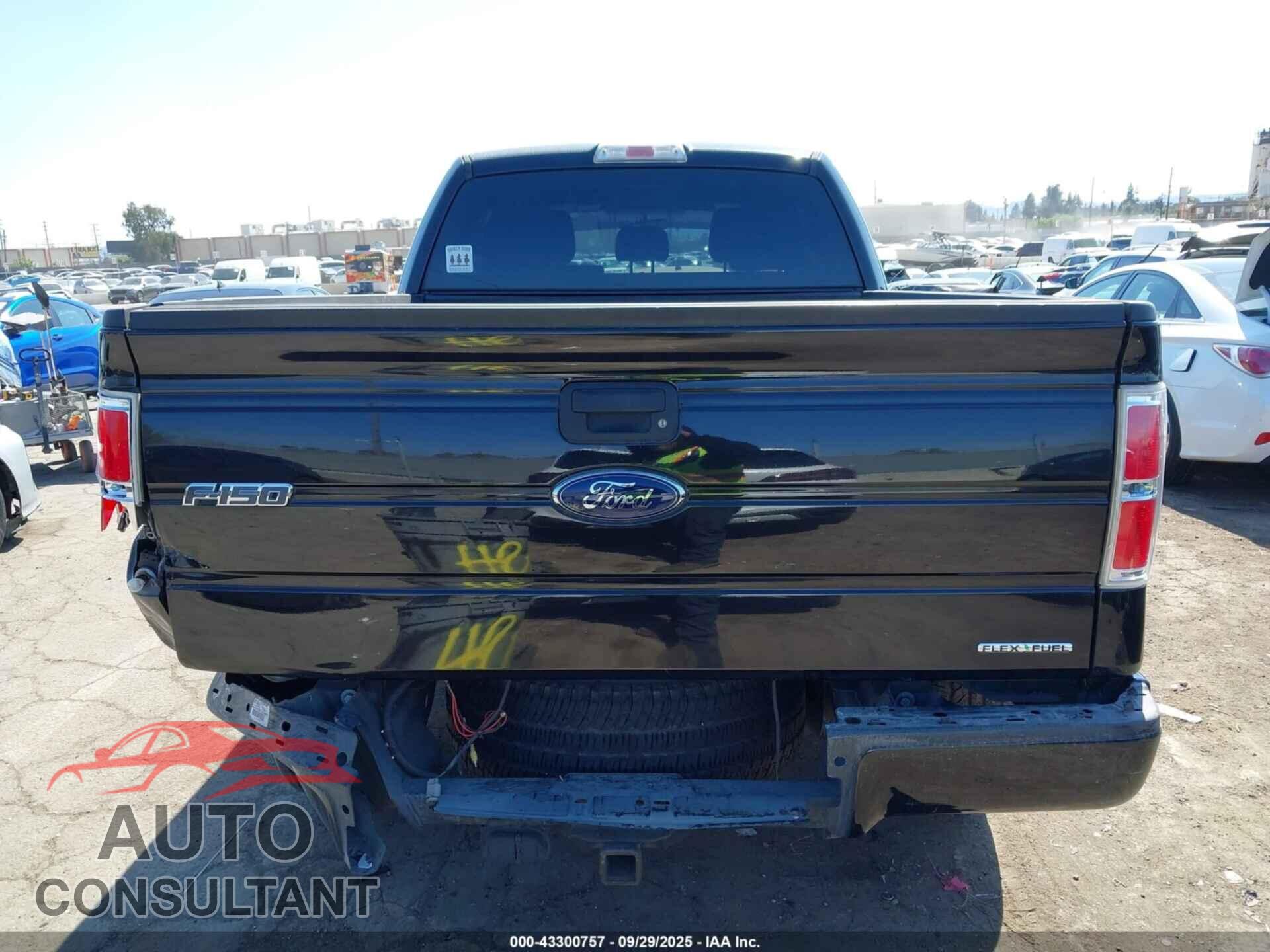 FORD F-150 2013 - 1FTFX1CF8DFD84009