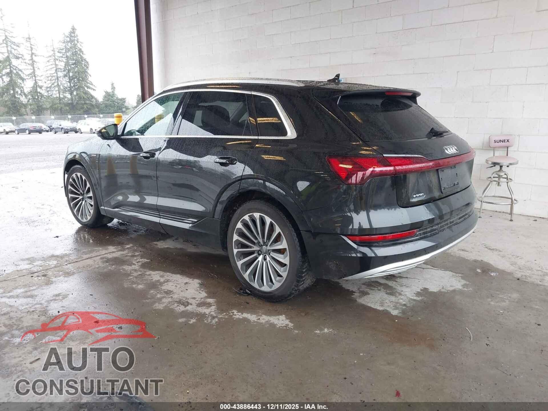 AUDI E-TRON 2019 - WA1VAAGE4KB006007