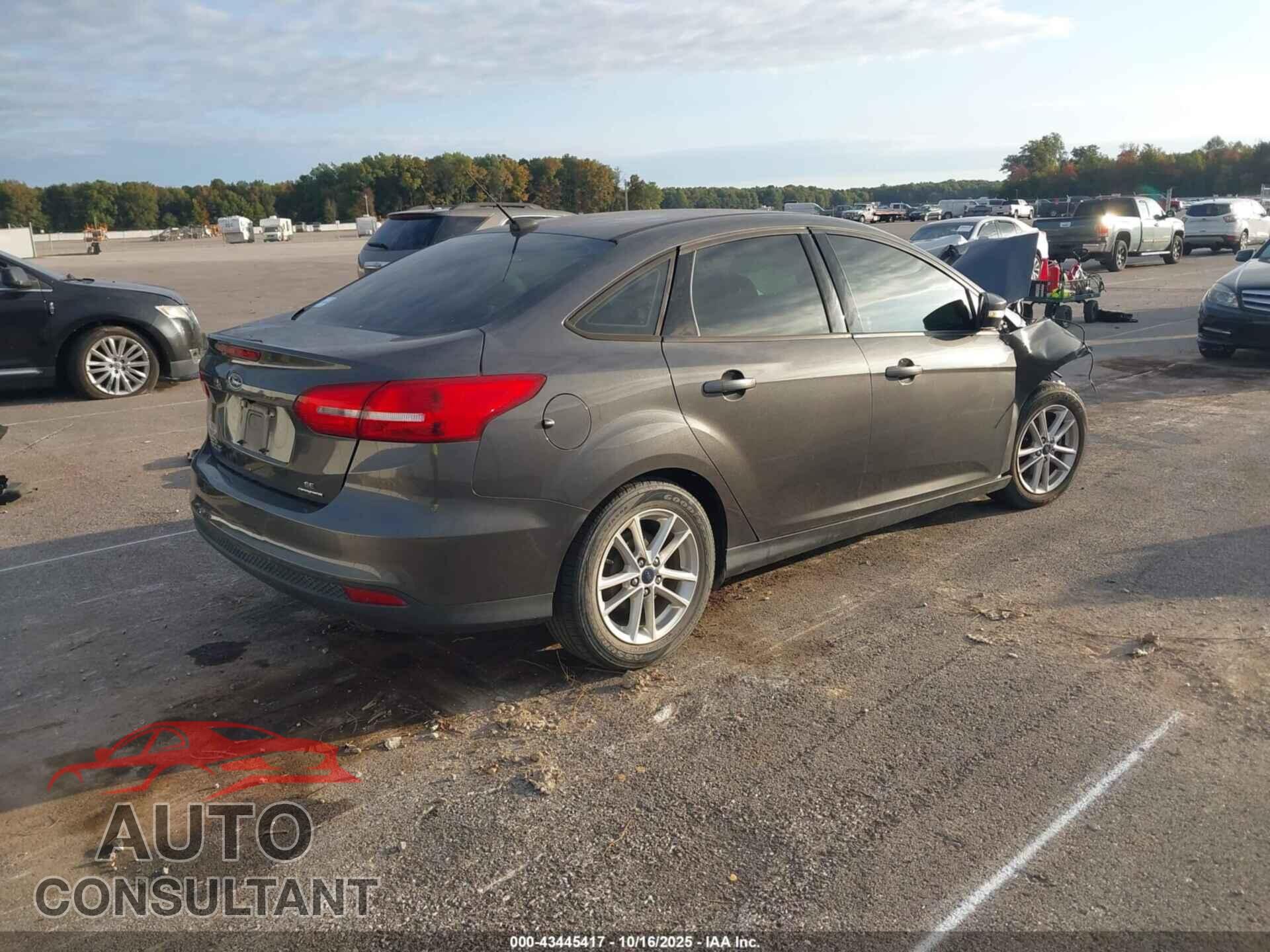 FORD FOCUS 2016 - 1FADP3F28GL314484