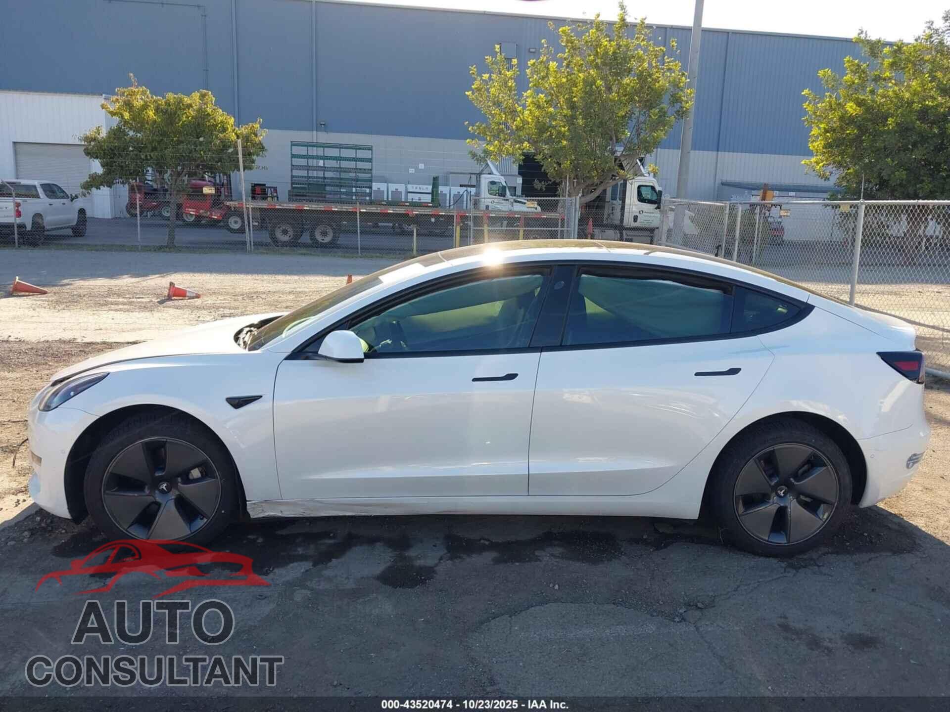 TESLA MODEL 3 2021 - 5YJ3E1EA0MF006507