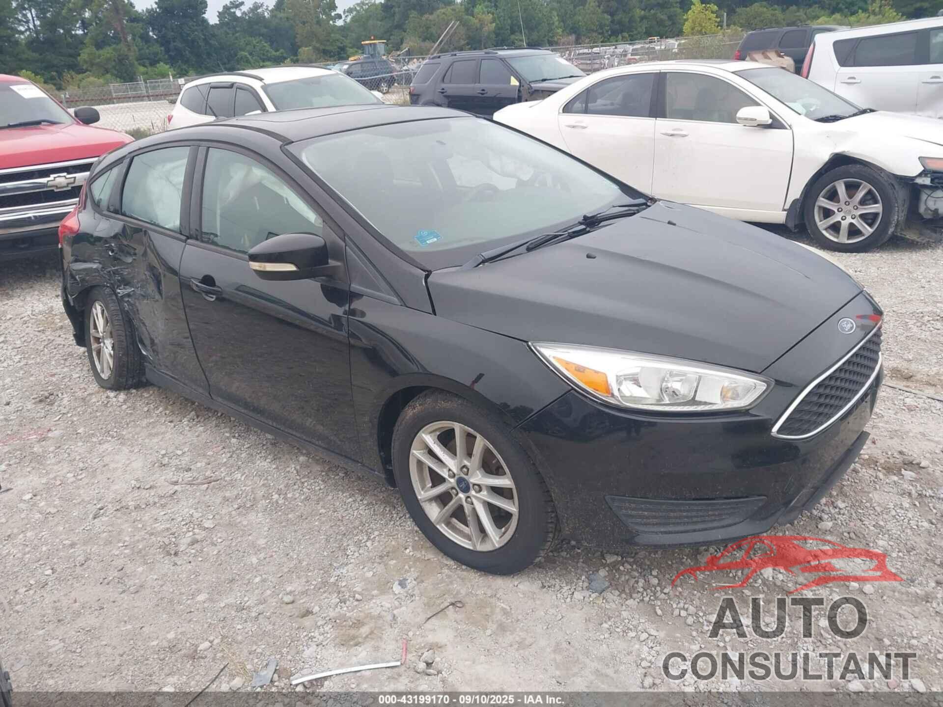 FORD FOCUS 2016 - 1FADP3K21GL216581