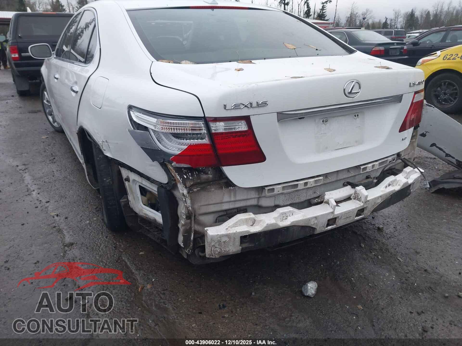 LEXUS LS 460 2009 - JTHCL46F095002353